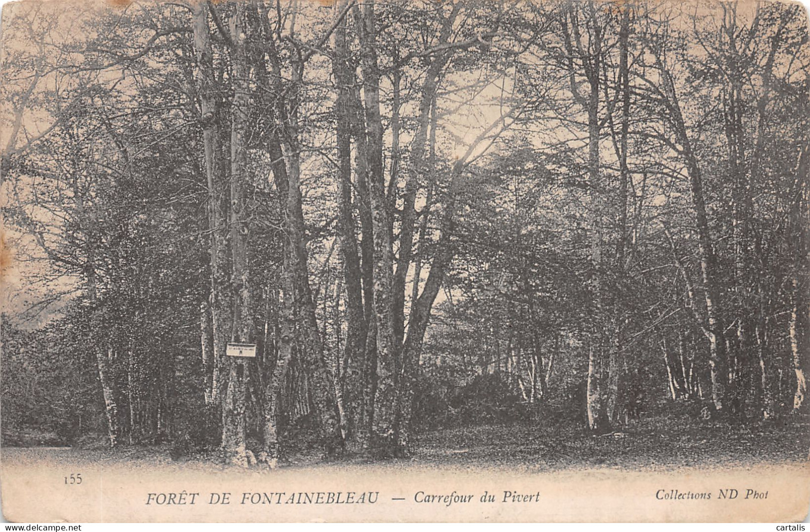 77-FONTAINEBLEAU-N°4175-D/0281 - Fontainebleau