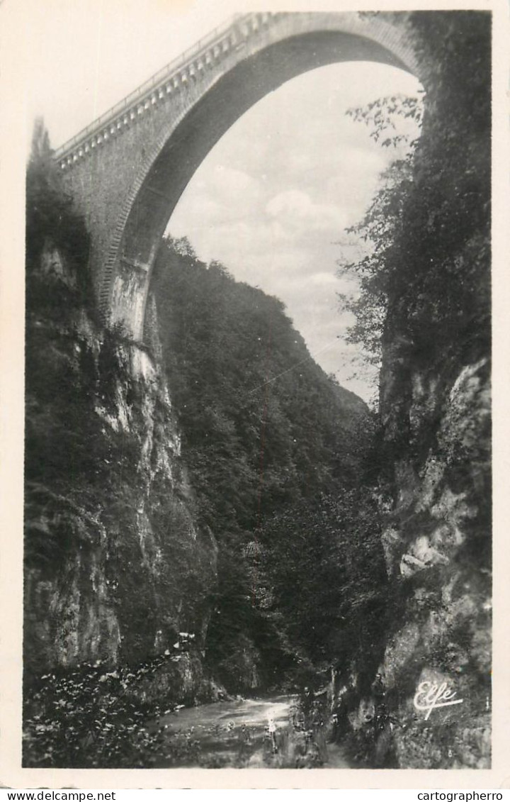 France Cpsm Saint Sauveur Le Pont Napoleon - Luz Saint Sauveur