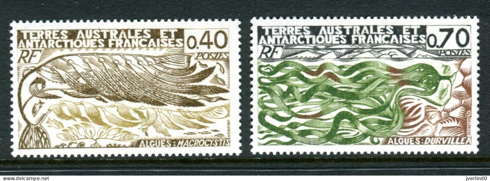 1977 TAAF  N° 68/69 Algues Locales MNH - Ungebraucht