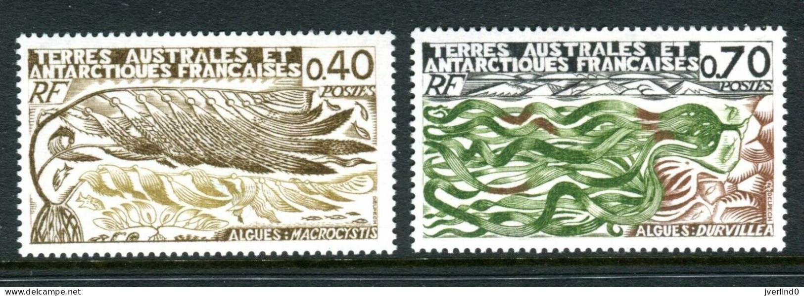 1977 TAAF  N° 68/69 Algues Locales MNH - Neufs