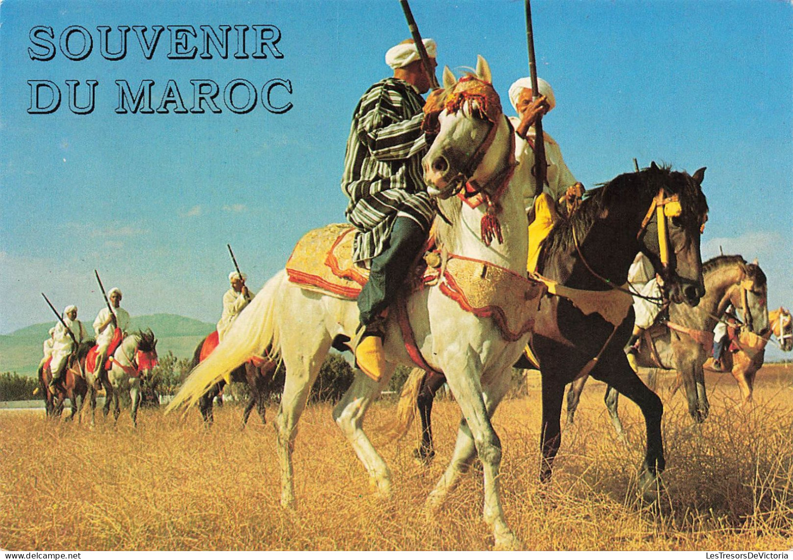 MAROC INFINI - Meknes - Cavaliers De Fantasia - Animé - Carte Postale - Meknes