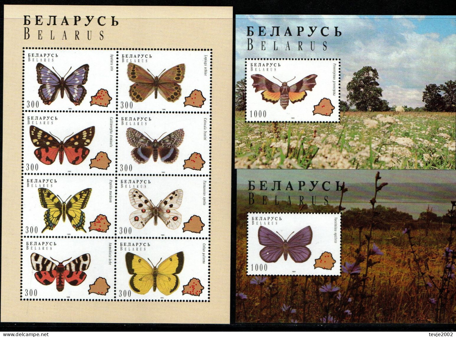 Weißrussland Belarus 1996 - Mi.Nr.123 - 130 Klb + Block 7- 8 - Postfrisch MNH - Tiere Animals Schmetterlinge Butterflies - Schmetterlinge