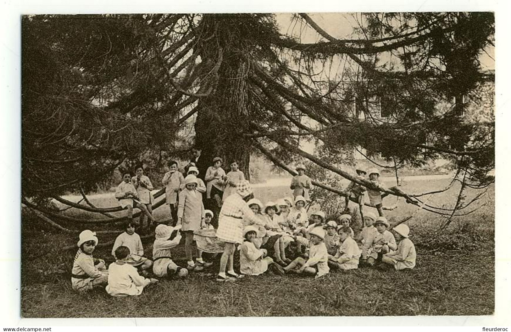 33 - DL50830CPSM - MERIGNAC - LE TENET - ECOLE DE PLEIN AIR - Le Gouter Sous Les Cèdres - Parfait état - GIRONDE - Merignac