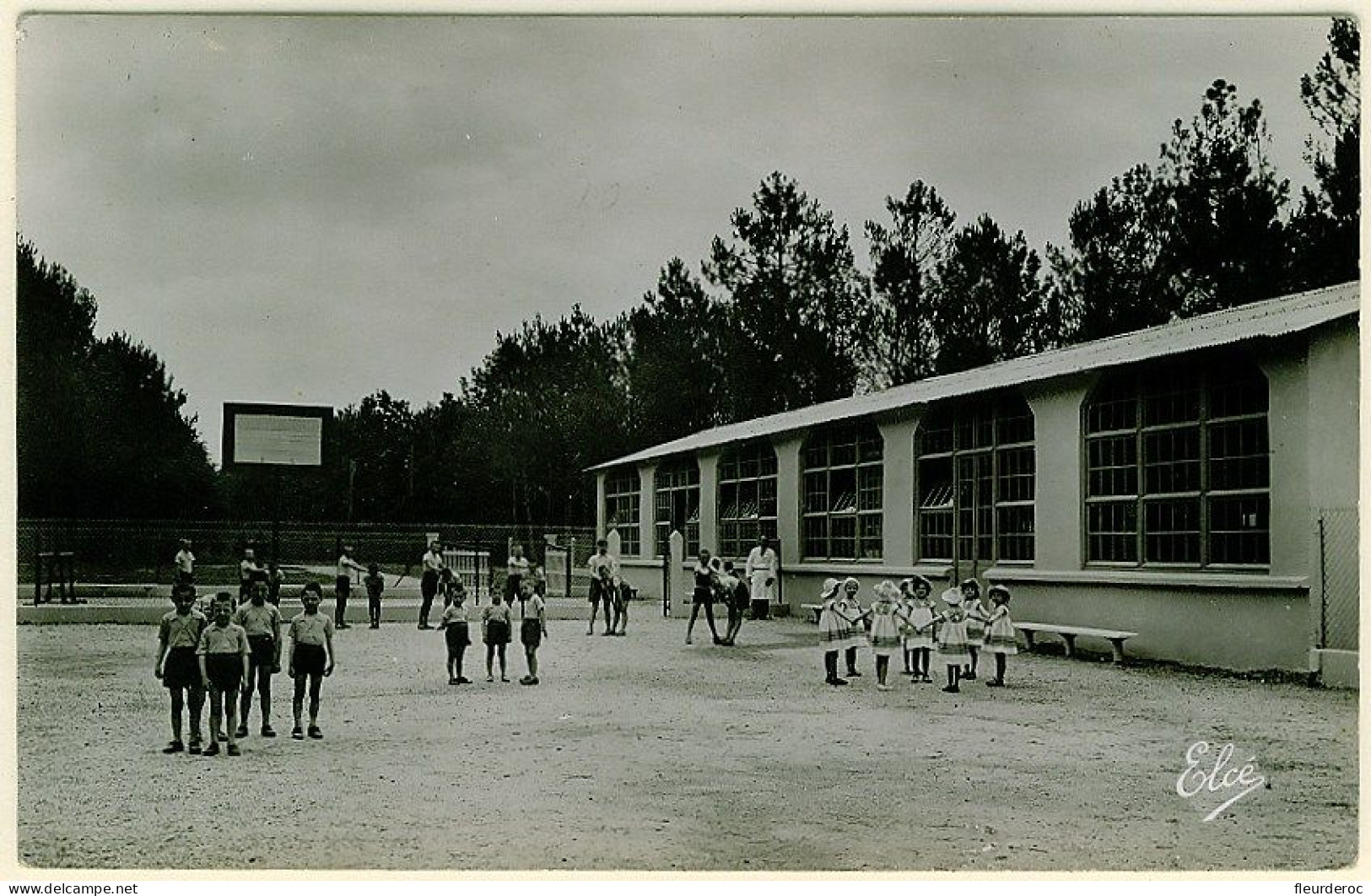 33 - BB53328CPSM - PESSAC - Haut Leveque - Les Sports, La Gymnastique - Très Bon état - GIRONDE - Pessac