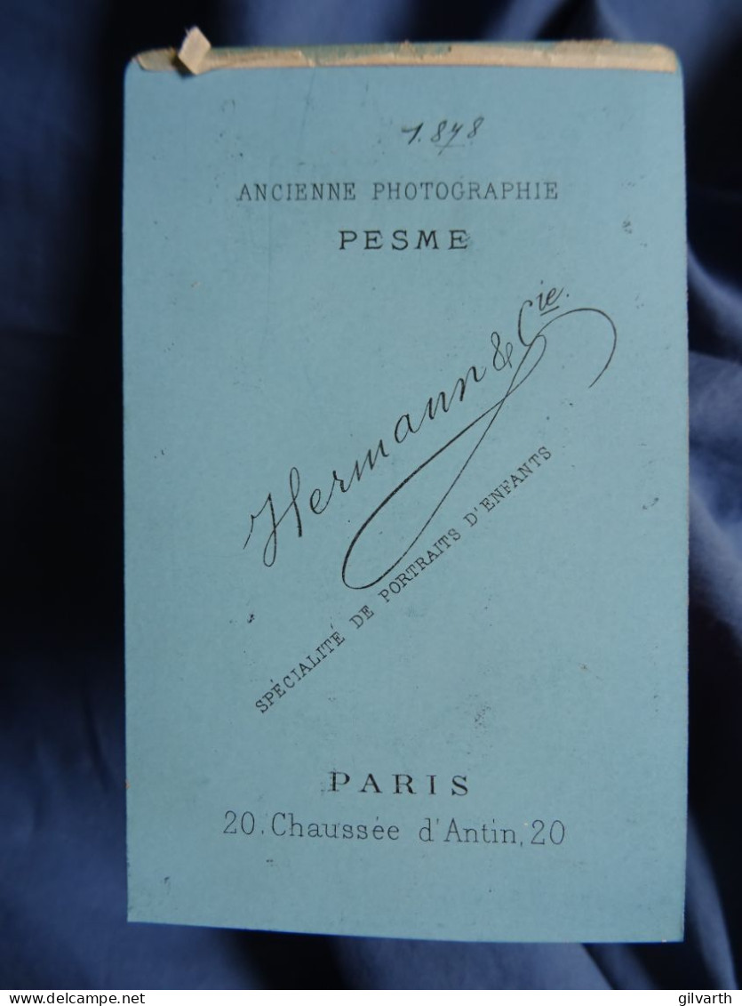 Photo CDV Hermann à Paris  Portrait Jeune Homme  Noeud Papillon  1878 - L678 - Old (before 1900)