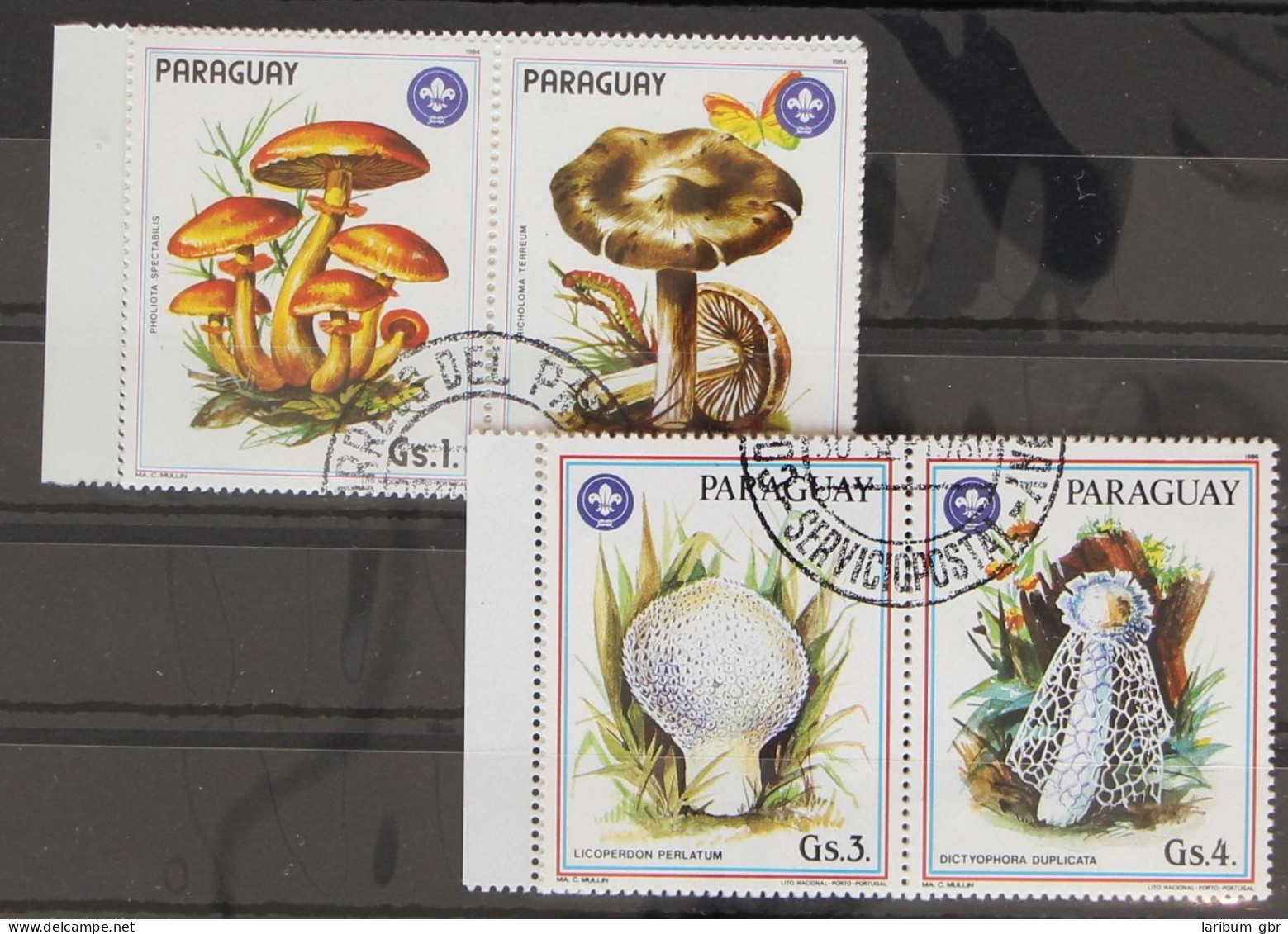 Paraguay 2 Sechserstreifen 3835-3841 Und 3950-3956 Gestempelt Pilze #GC342 - Paraguay