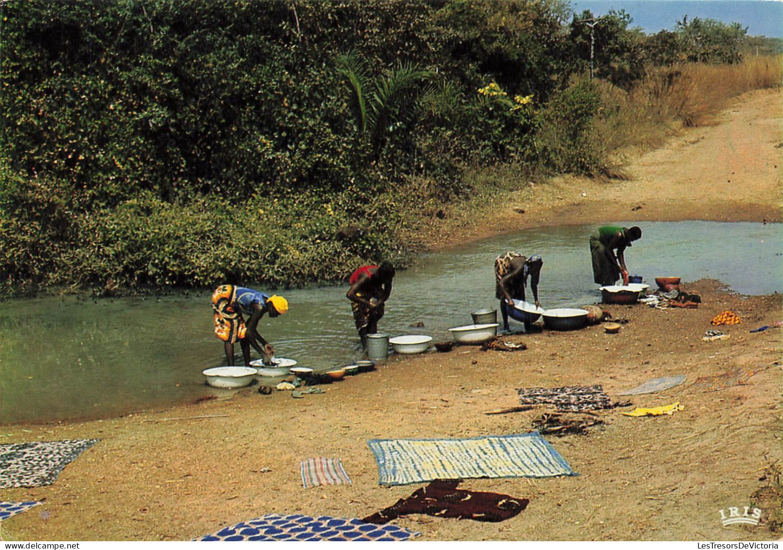 AFRIQUE EN COULEURS - Lavandières - Animé - Rivères - Carte Postale - Sin Clasificación