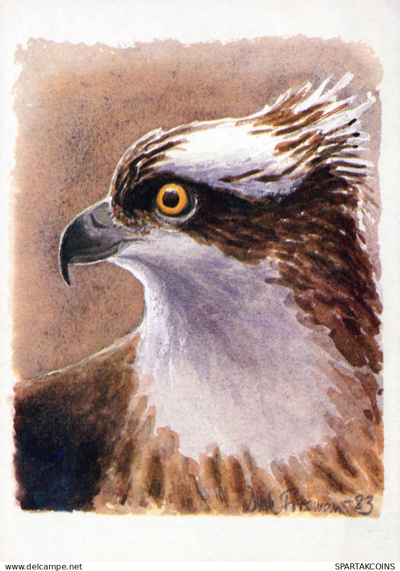 VOGEL Tier Vintage Ansichtskarte Postkarte CPSM #PAN306.A - Oiseaux
