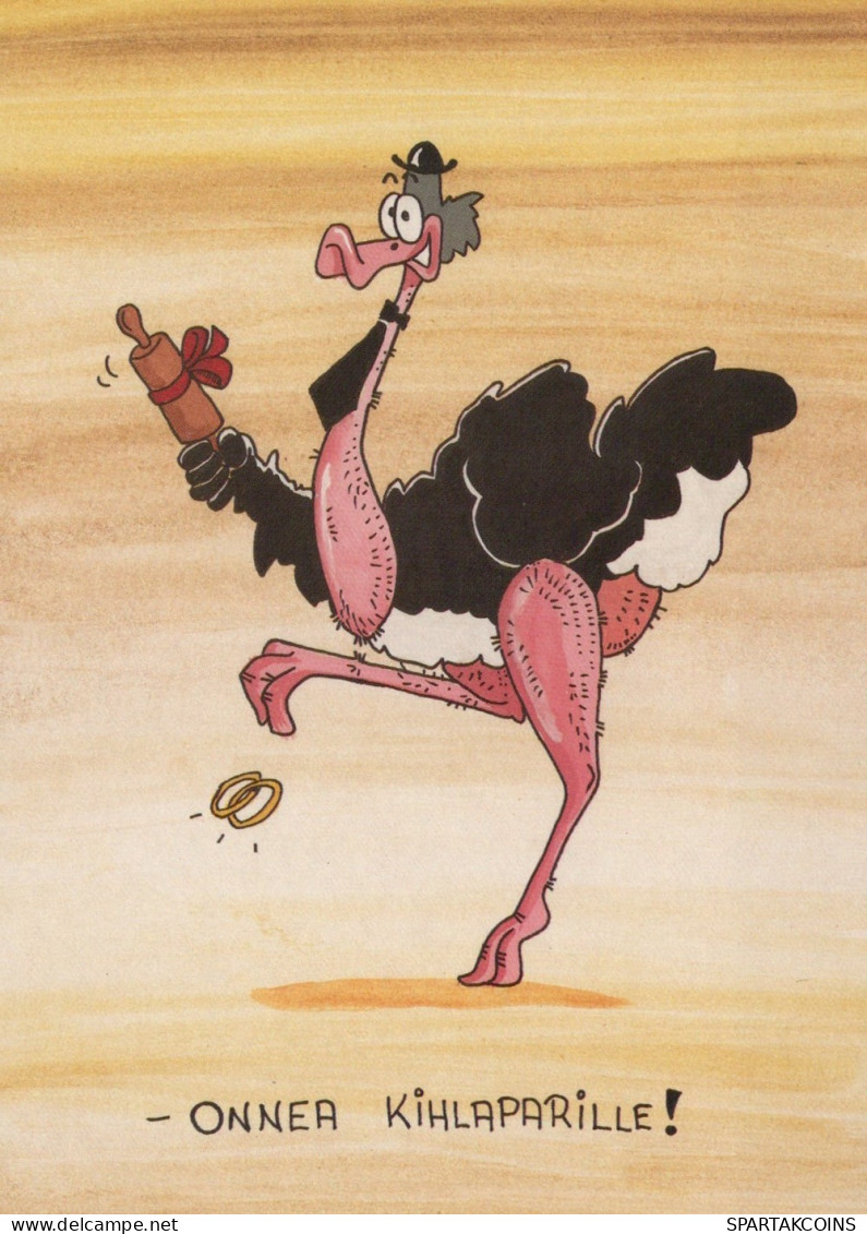 PÁJARO Animales Vintage Tarjeta Postal CPSM #PAN153.A - Oiseaux