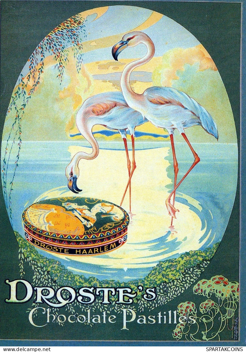 PÁJARO Animales Vintage Tarjeta Postal CPSM #PAN193.A - Oiseaux