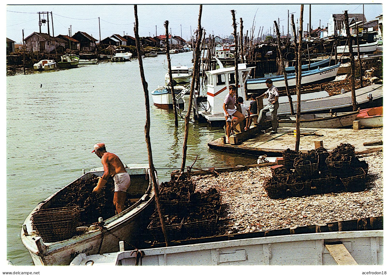 Bassin Ostréicole De Marennes D'Oléron - Marennes