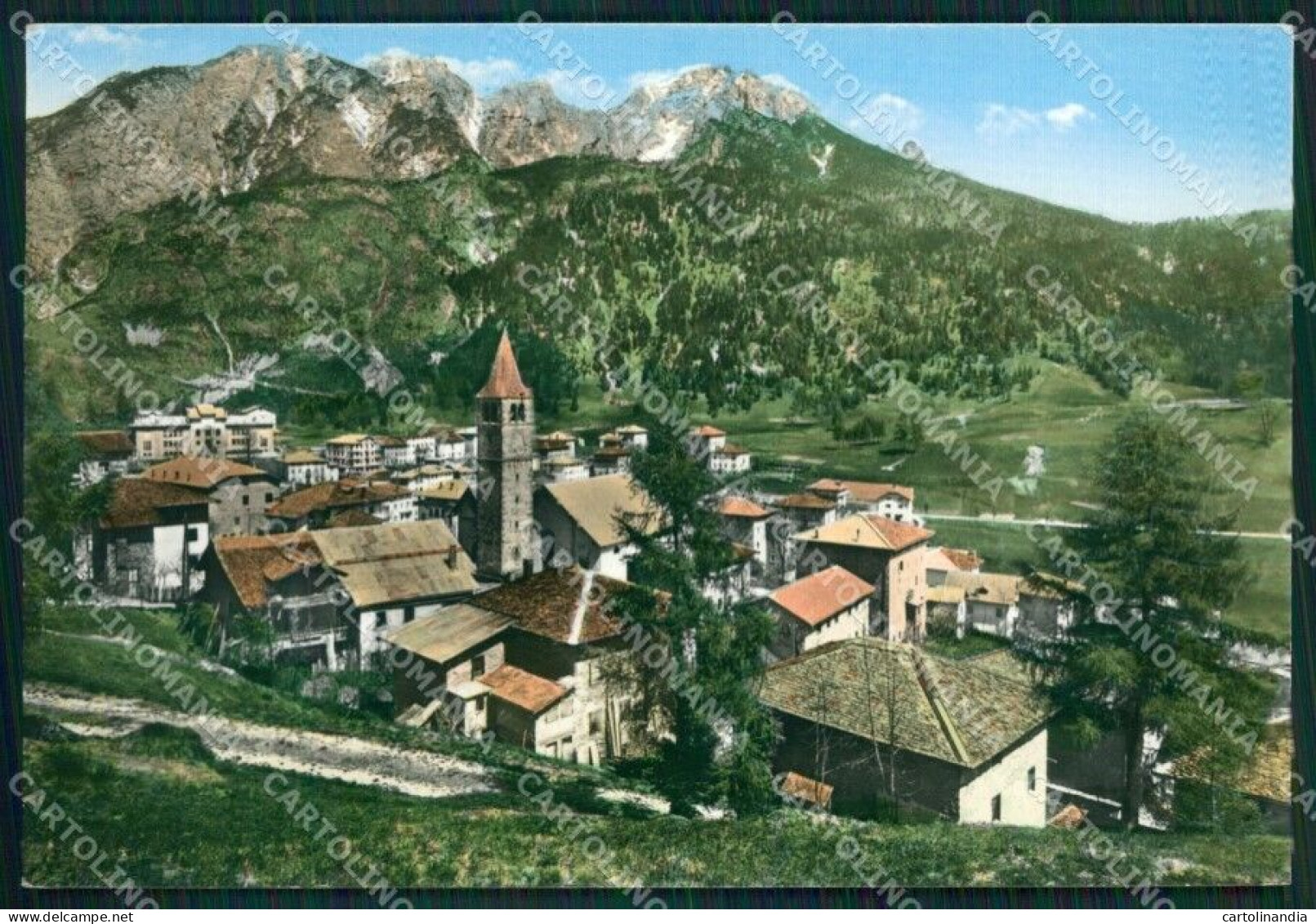 Belluno Vico Di Cadore Foto FG Cartolina ZKM7129 - Belluno