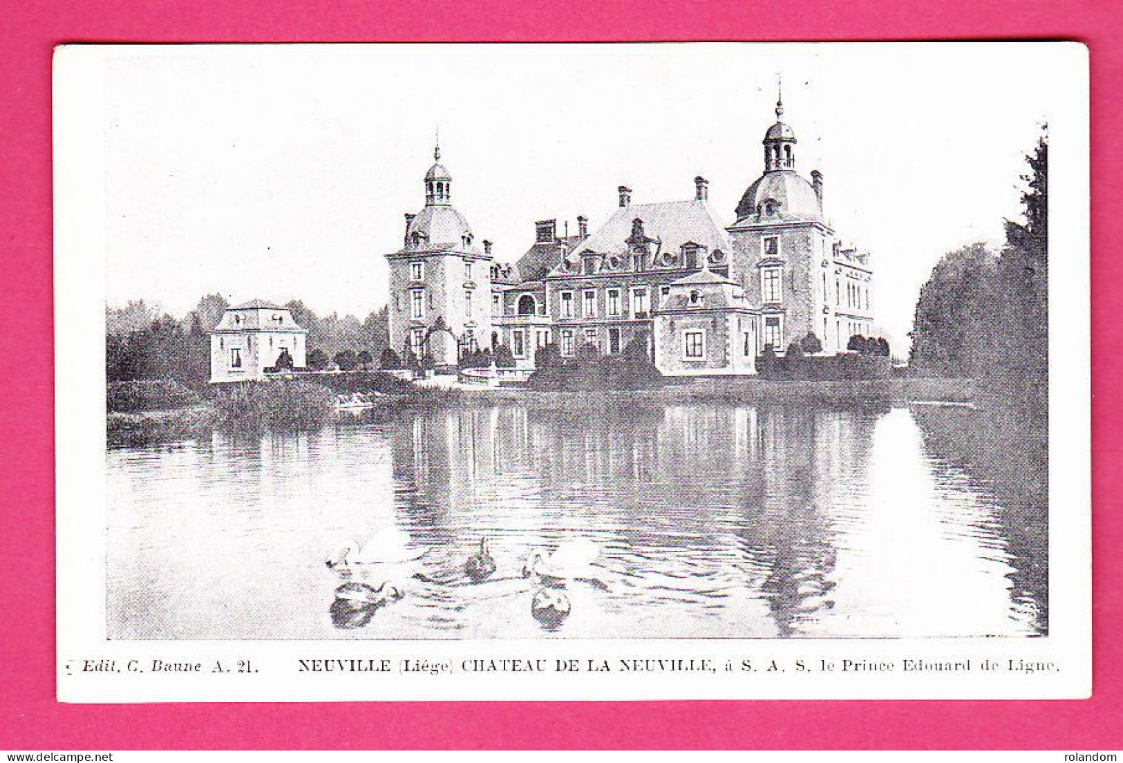 Neuville Huy Château De La Neuville à S.A.S. Le Prince Edouard De Ligne éd. C. Baune A21 Imp. L. Van Der Aa CPA Non Circ - Huy