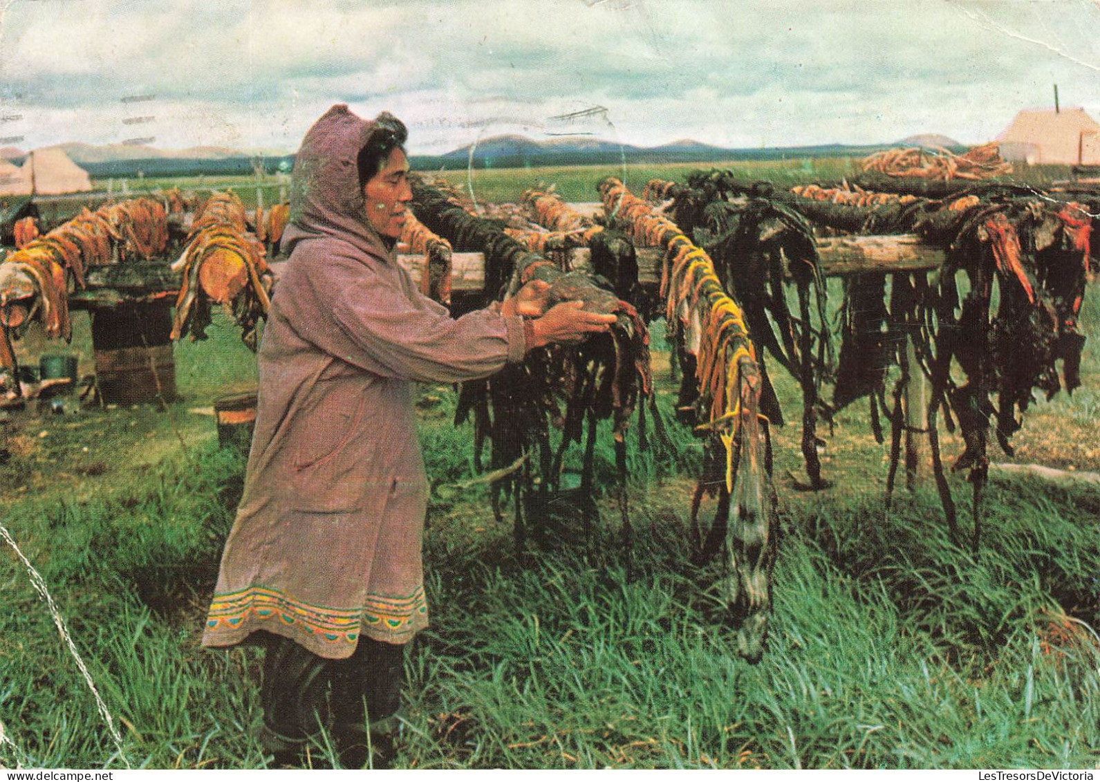 ETATS UNIS - Alaska - Séchage De Peaux De Baleines - Animé - Carte Postale - Autres & Non Classés