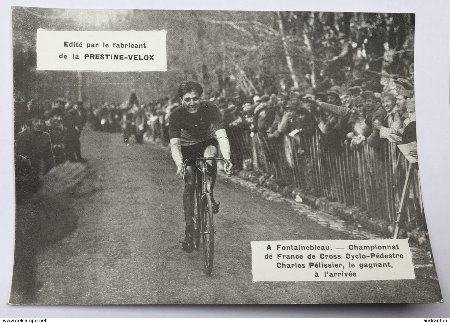 Carte Publicitaire - Cyclisme Fontainebleau Championnat France Cyclo-pédestre- Laboratoires Prestie-Velox - Cyclisme