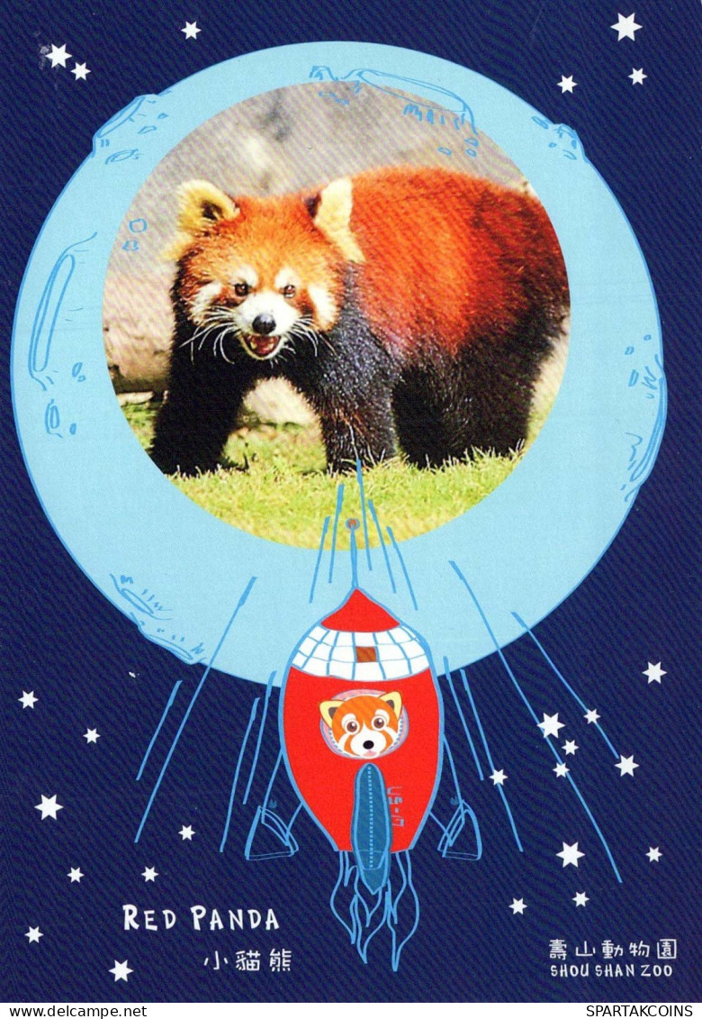 OSO Animales Vintage Tarjeta Postal CPSM #PBS206.A - Bears