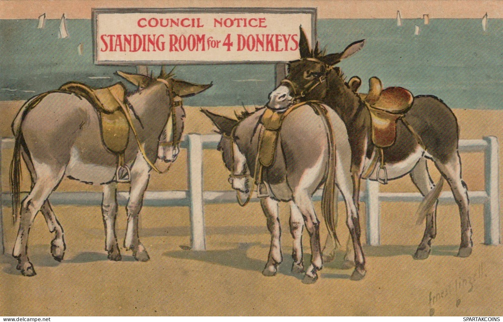 DONKEY Animals Vintage Antique Old CPA Postcard #PAA305.A - Donkeys