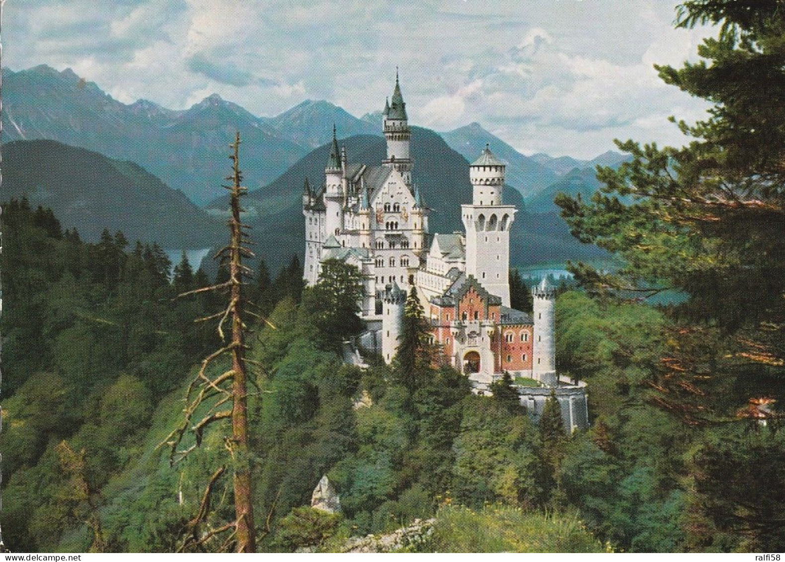 8 AK Germany / Bayern * Königsschloss Neuschwanstein Auch Mit Innenaufnahmen Sängersaal (2x), Thronsaal* - Füssen