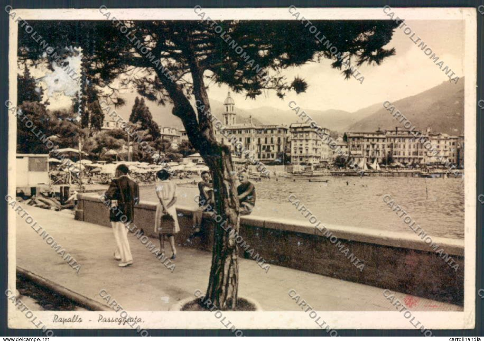 Genova Rapallo Foto FG Cartolina ZF2698 - Genova (Genoa)