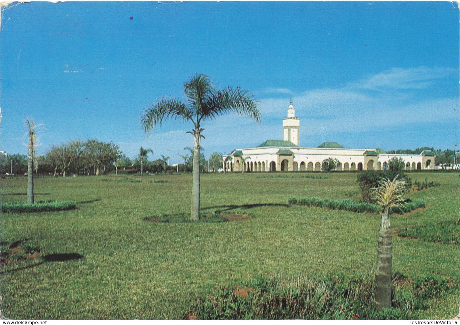 MAROC - Rabat - Mosquée Du Méchouer - Carte Postale - Rabat