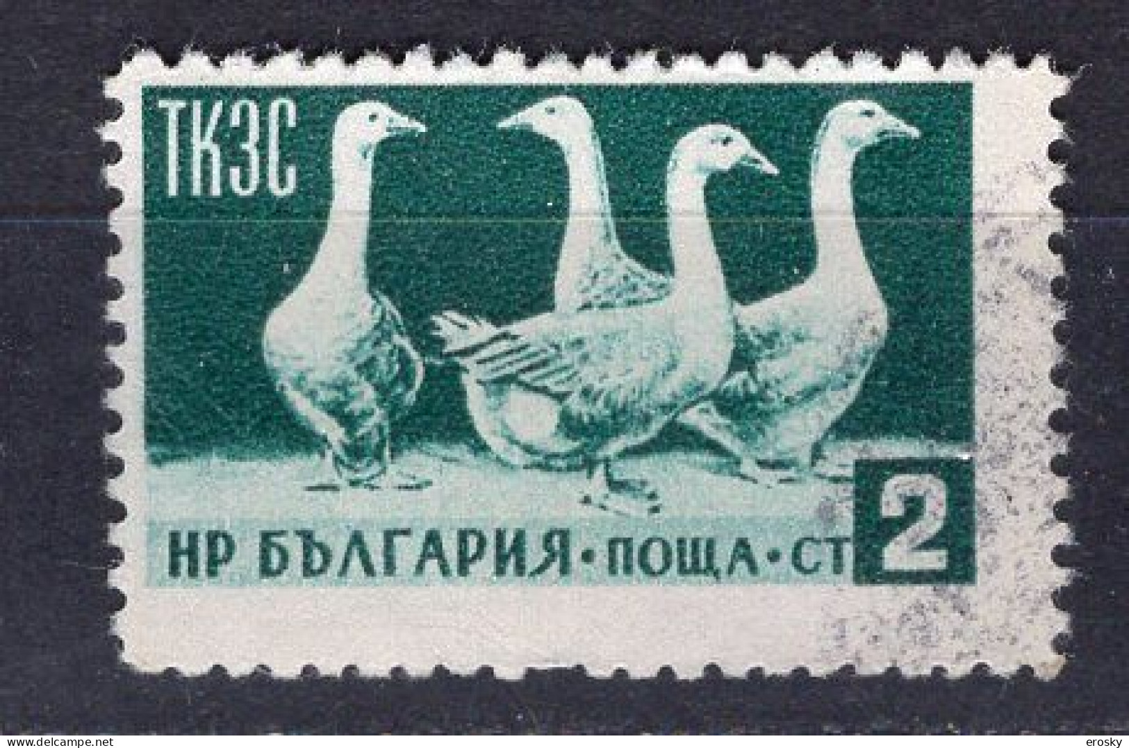 L0706 - BULGARIE BULGARIA Yv N°806 - Usados