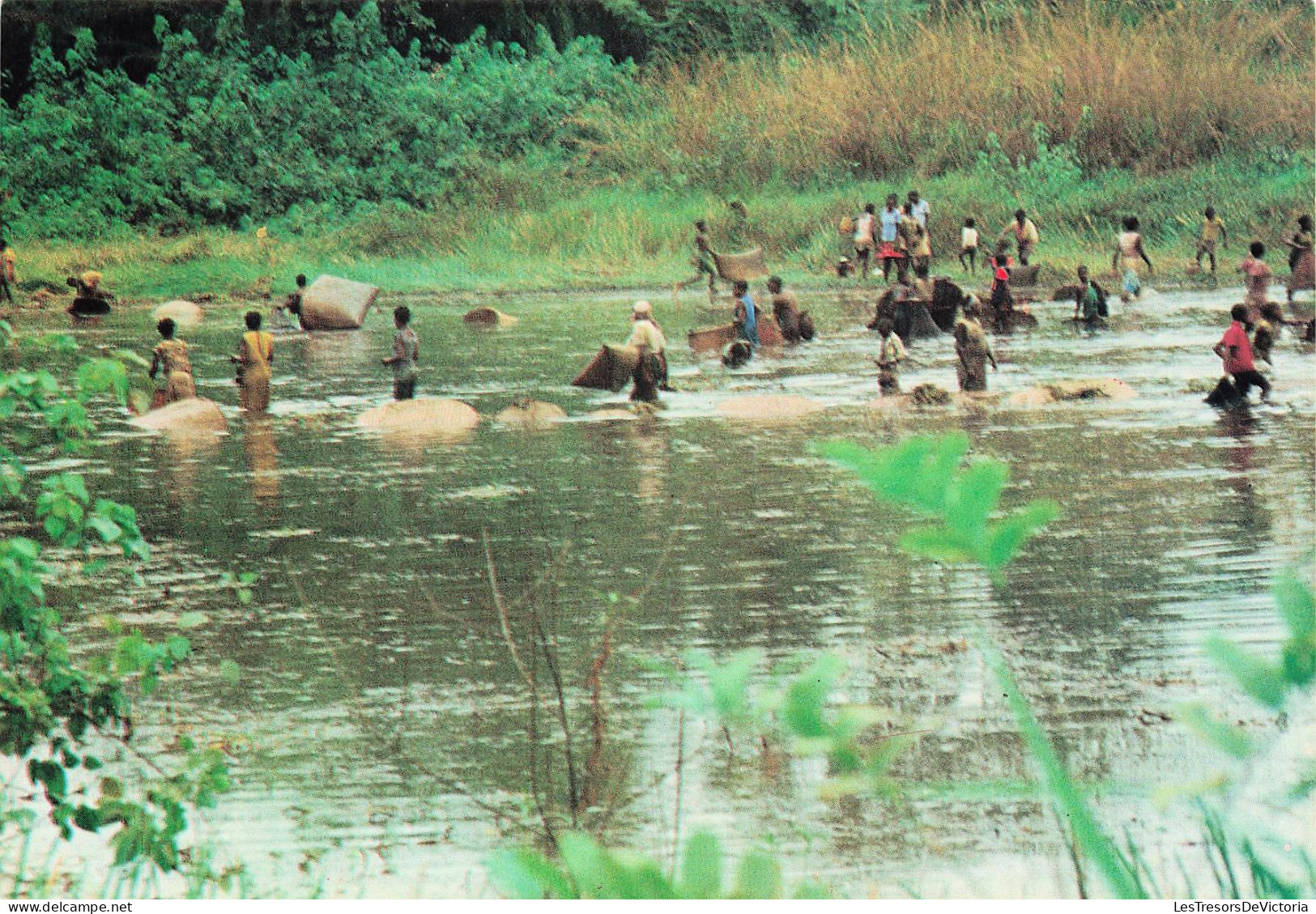 GABON - Images Du Gabon - Scène De Pêche En étang - Animé - Carte Postale - Gabón