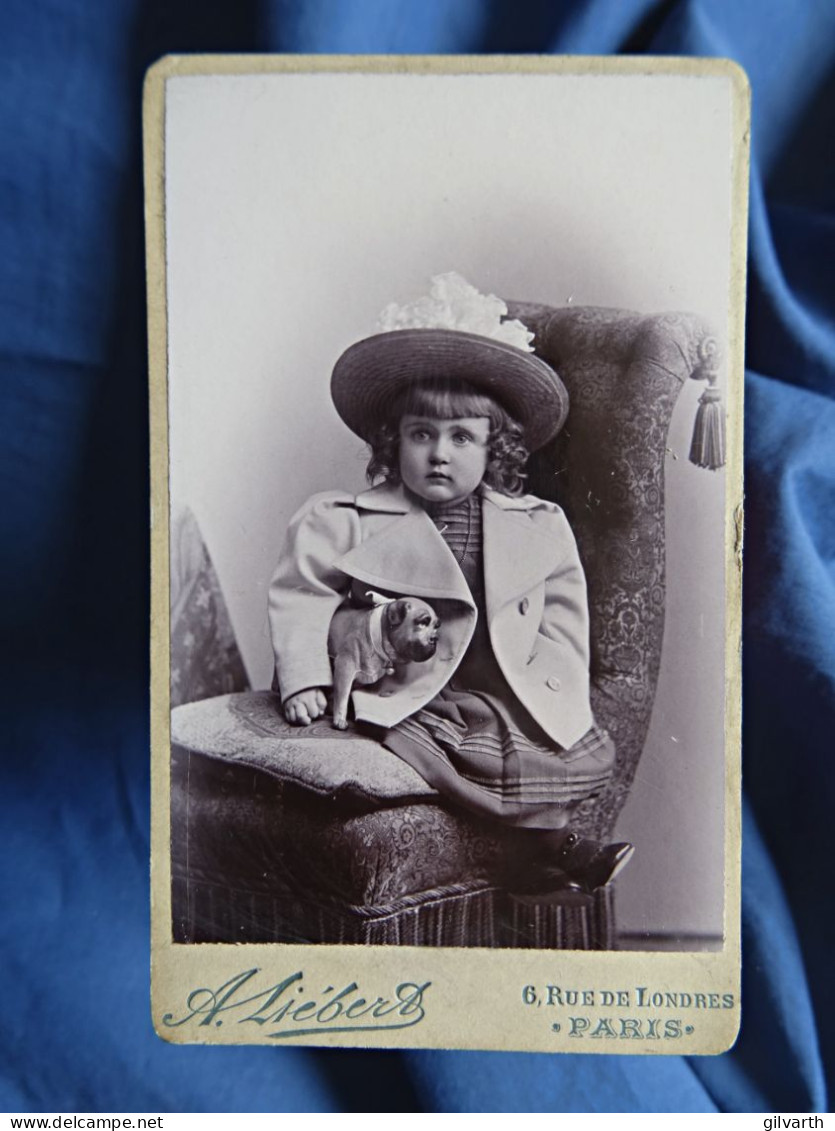 Photo CDV Liebert à Paris  Petite Fille Assise Grand Chapeau  Jouet Petit Chien  Robe Rayée Et Veste CA 1890 - L678 - Ancianas (antes De 1900)