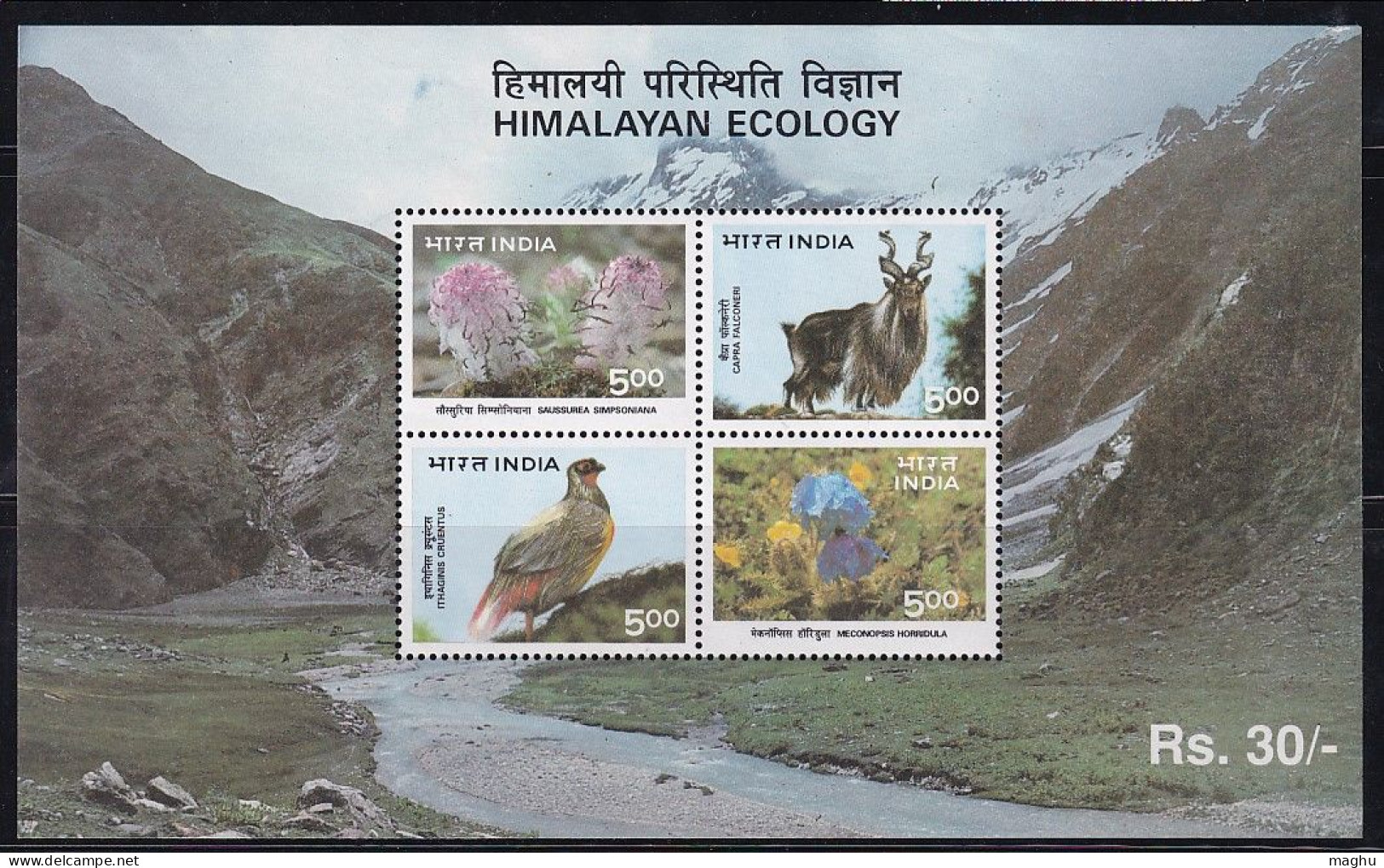 India Miniature 1996, Himalayan Ecology, Bird, Animal, Flower, Poppy, Plant, As Scan - Neufs