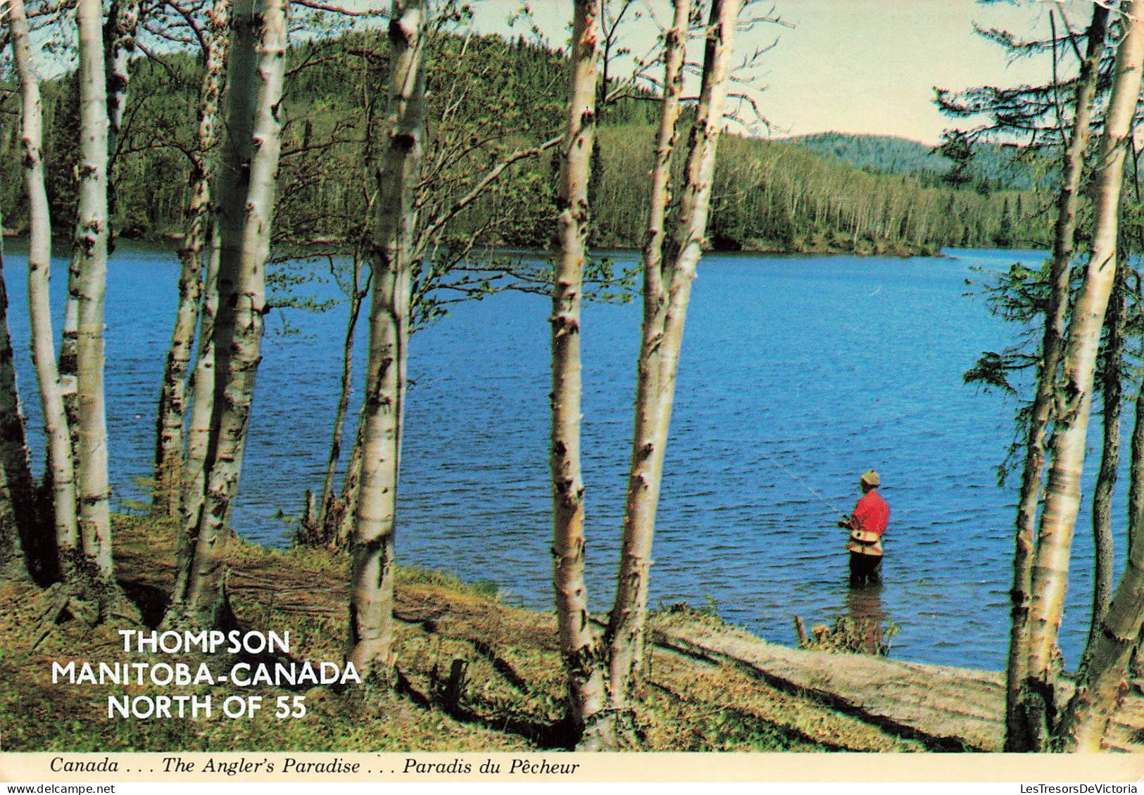 CANADA - Thompson Manitoba - The Angler's Paradise - Paradis Du Pêcheur - Fishing Amidst - Carte Postale - Thompson