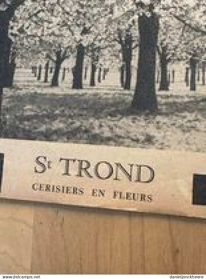 Touring Club De Belgique Organe Bimensuel N°8 1947 St Trond - 1900 - 1949