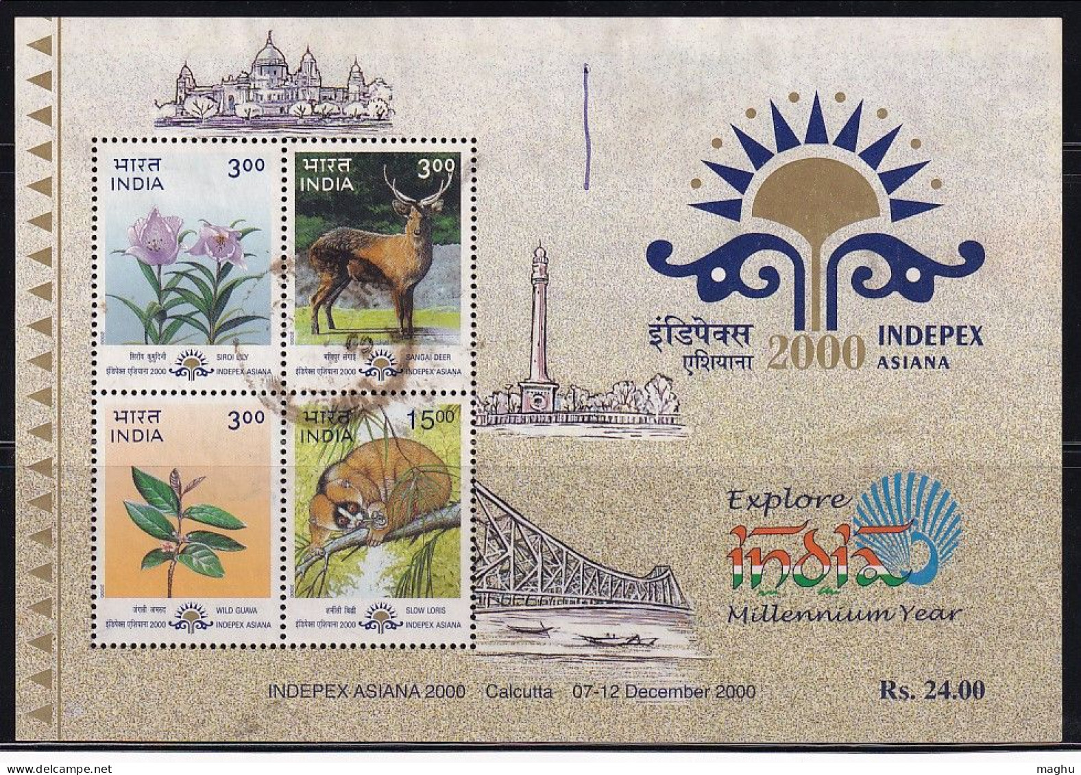 Postal Used India Miniature 2000, INDEPEX ASIANA, Lily Flower, Deer, Guave, Snow Loris, Animal, Bridge, Millenium - Usados