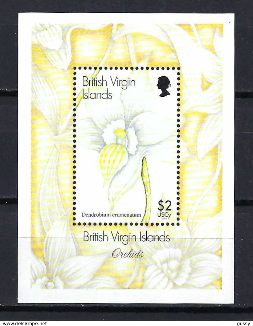 ILES VIERGES BRITANNIQUES Ca.1997: B&F "ORCHIDEE" Neuf** - Iles Vièrges Britanniques