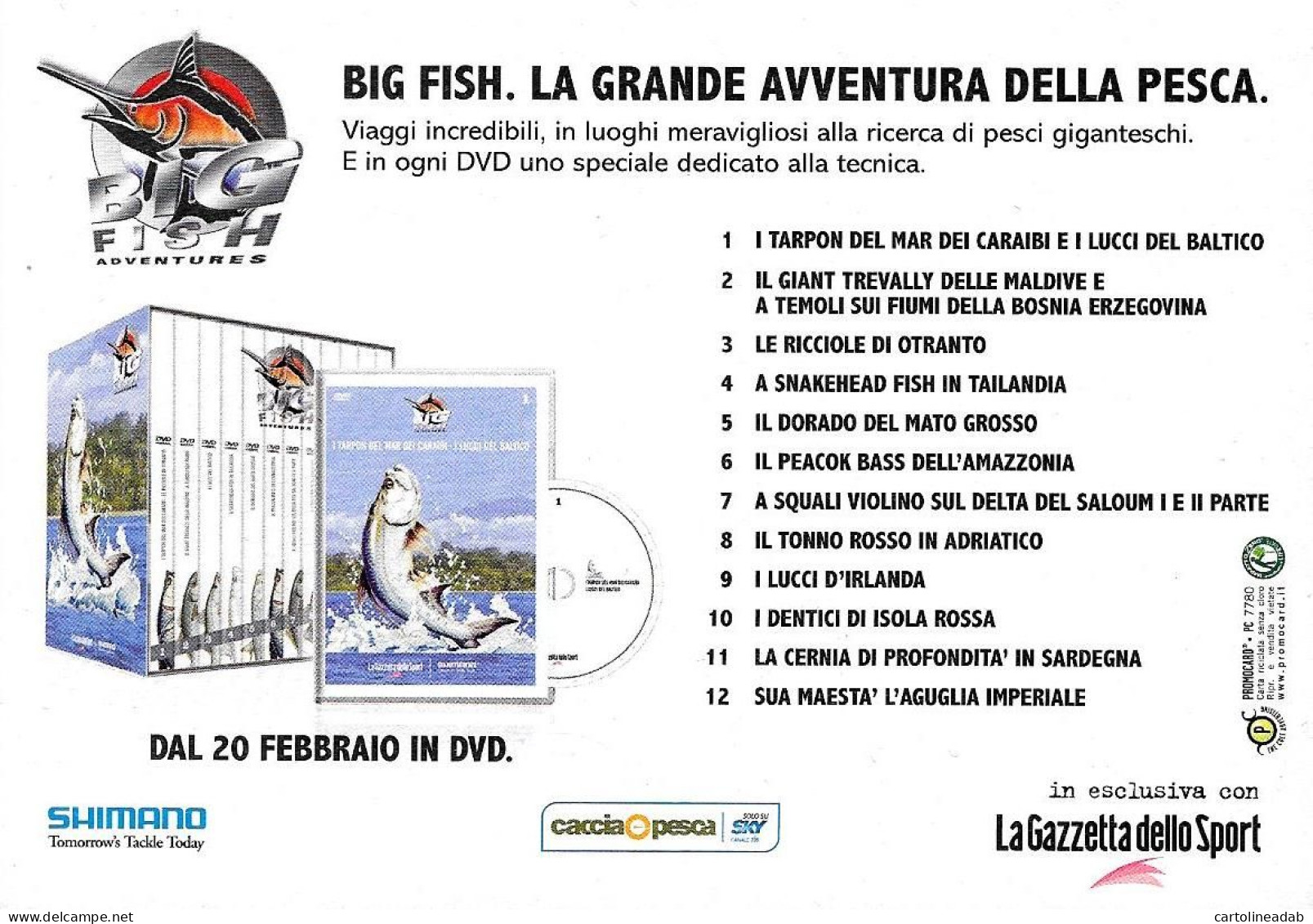 [MD9447] CPM - BIG FISH LA GRANDE AVVENTURA DELLA PESCA DVD - PROMOCARD 7780 - PERFETTA - Non Viaggiata - Werbepostkarten