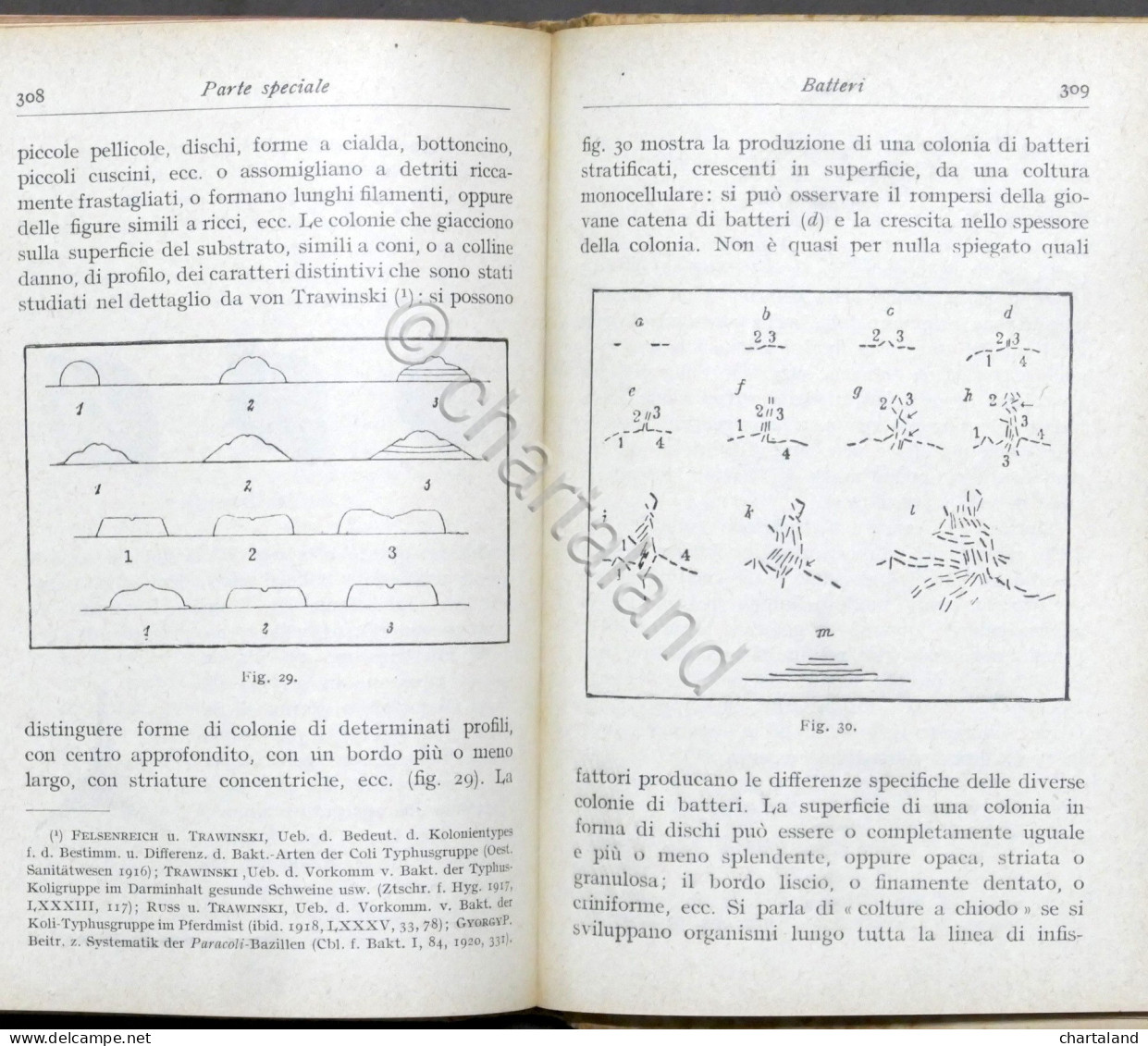 Manuali Hoepli - Ernst Küster - Avviamento Alla Tecnica Microbiologica - 1925 - Altri & Non Classificati