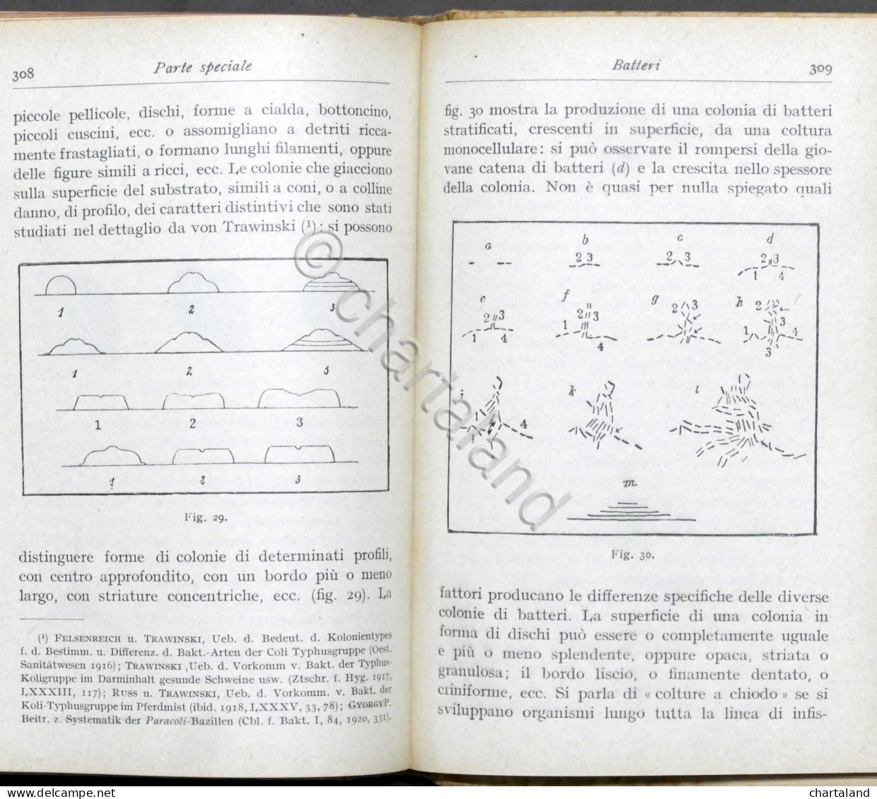 Manuali Hoepli - Ernst Küster - Avviamento Alla Tecnica Microbiologica - 1925 - Andere & Zonder Classificatie