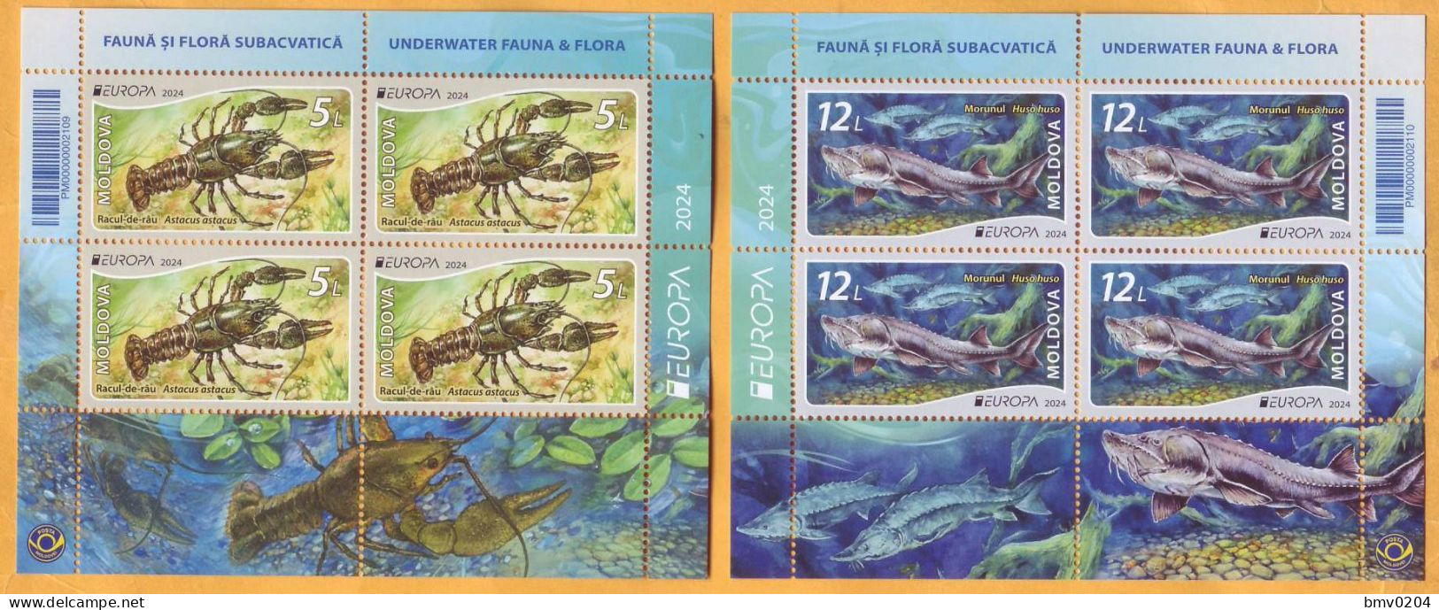 2024 Moldova H-Blatt Europa 2024. Underwater Flora And Fauna. Fish, Beluga, Crayfish - 2024