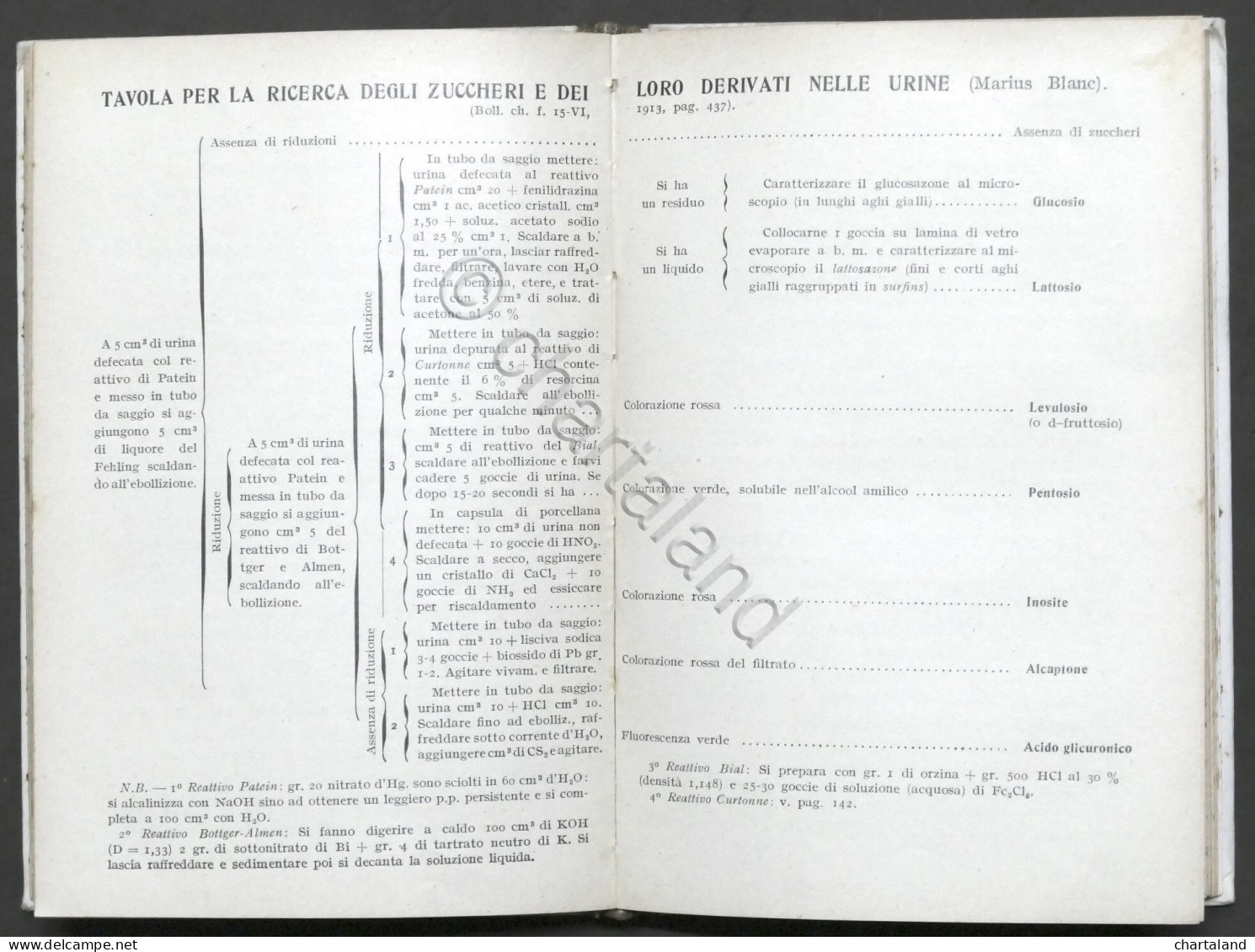 Manuali Hoepli - Dott. Giacomo Tellera - Analisi Urine - 1^ Ed. 1932 - Autres & Non Classés