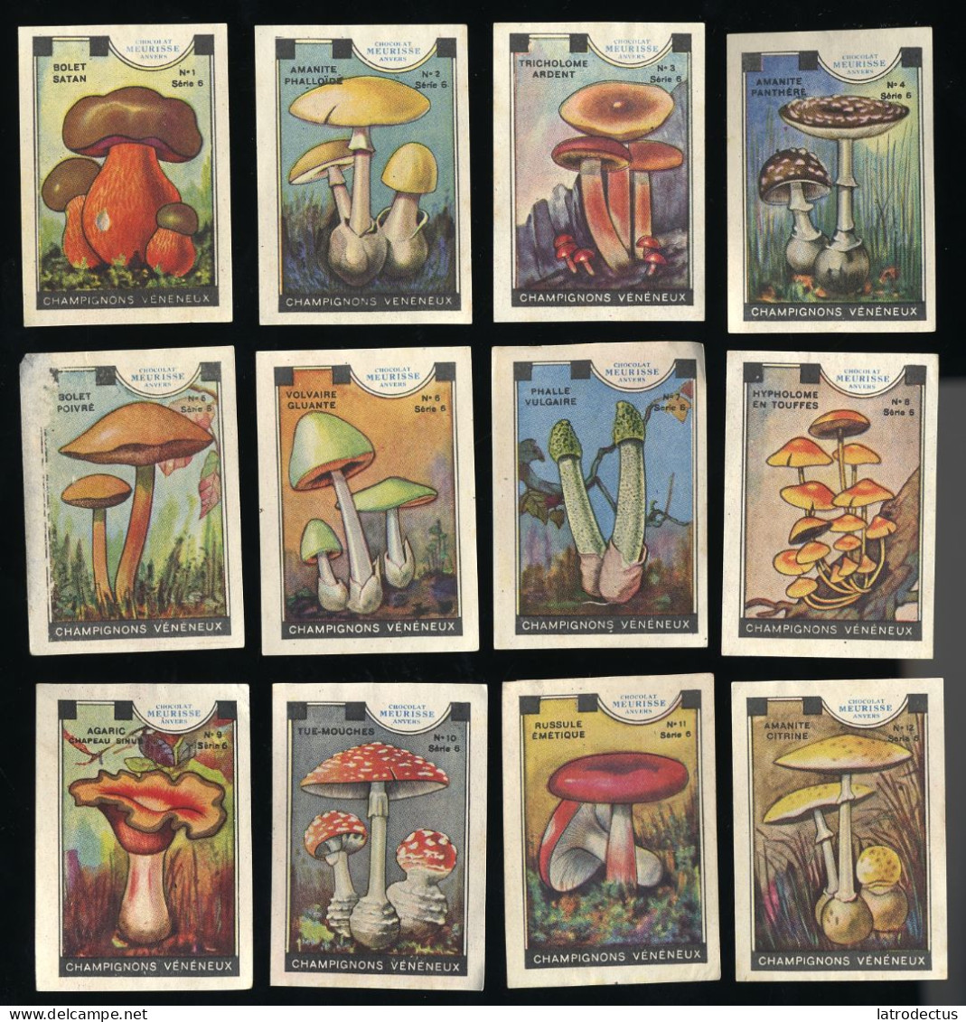 Meurisse - Ca 1930 - 6 - Champignons Vénéneux, Poisonous Mushrooms - Full Serie (no 5 Damaged) - Otros & Sin Clasificación