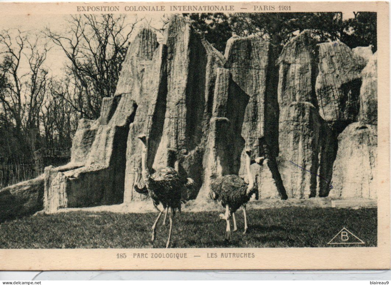 185 Exposition Coloniale Internationale 1931 Parc Zoologique  Les Autruches - Ausstellungen