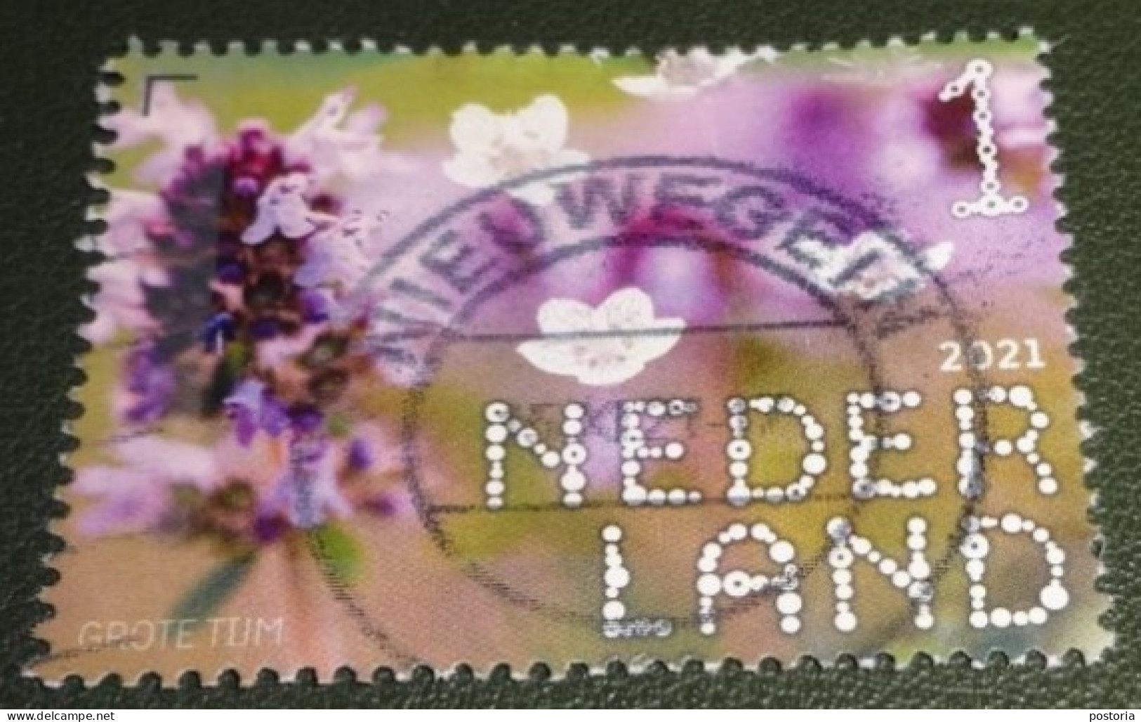 Nederland - NVPH - Xxxx - 2021 - Gebruikt - Beleef De Natuur - Grote Tijm - Used Stamps