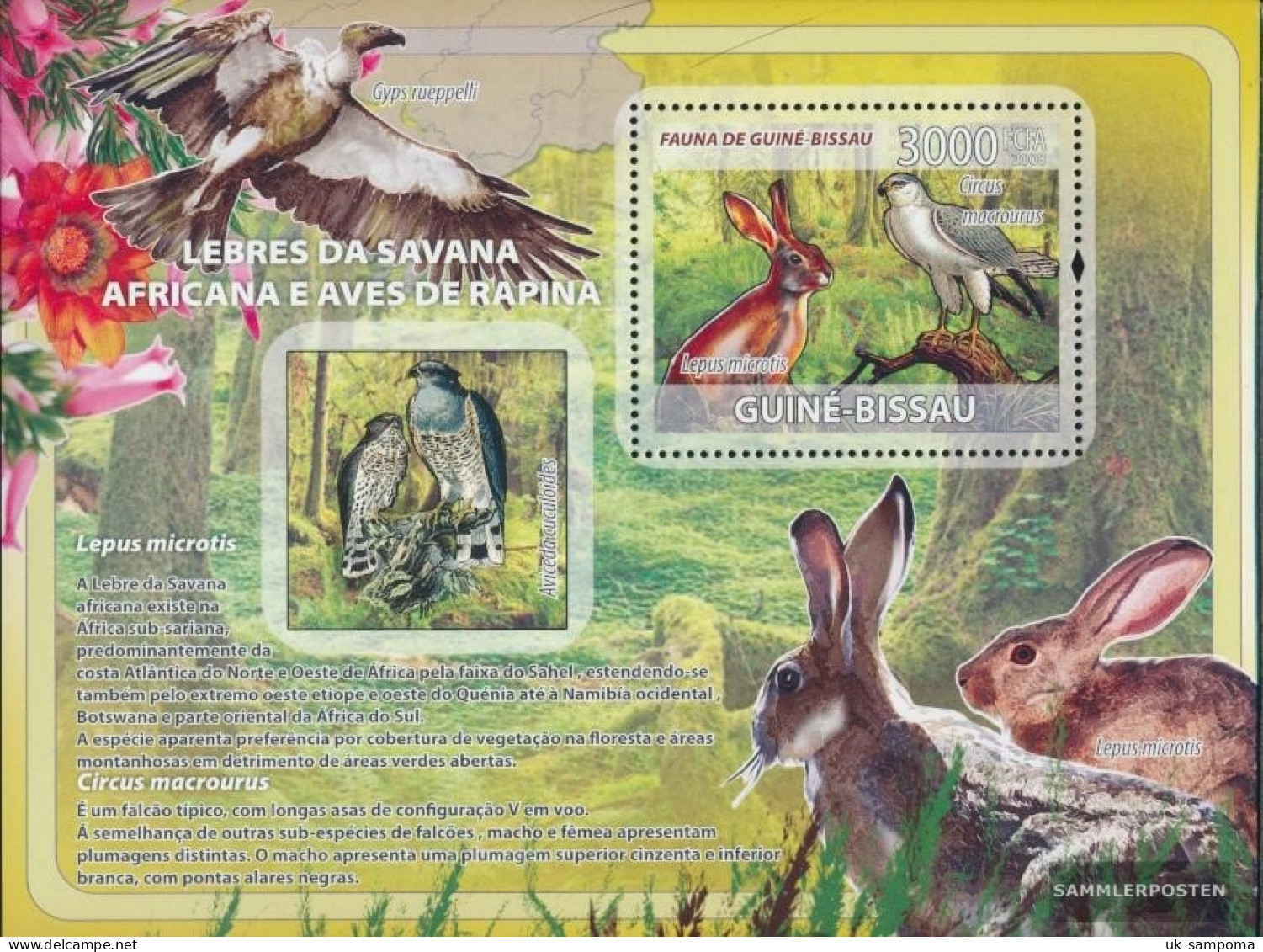 Guinea-Bissau Miniature Sheet 646 (complete. Issue) Unmounted Mint / Never Hinged 2008 Savannah-Rabbits, Birds Of Prey - Guinea-Bissau