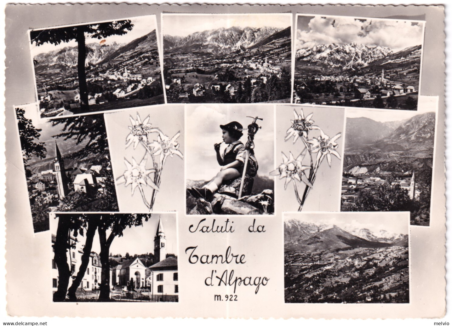 1956-TAMBRE D'ALPAGO Saluti Viaggiata Affrancata X Repubblica Lire 10 - Belluno