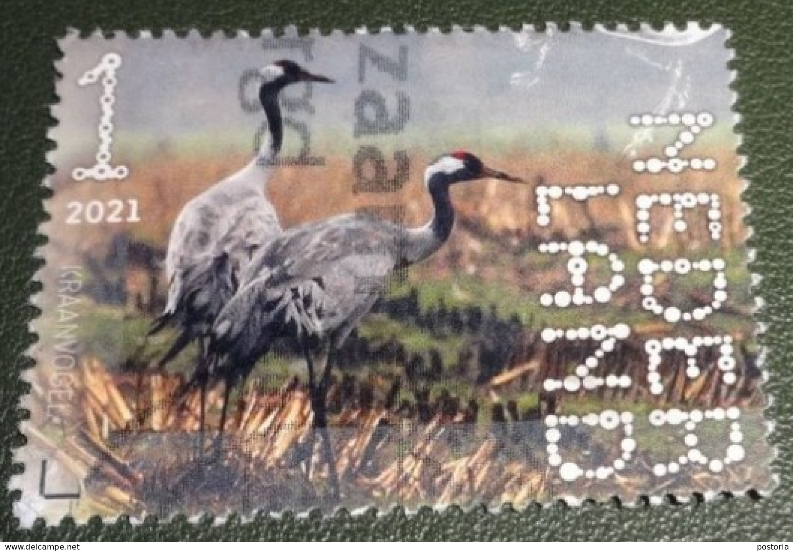 Nederland - NVPH - Xxxx - 2021 - Gebruikt - Beleef De Natuur - Kraanvogel - Used Stamps