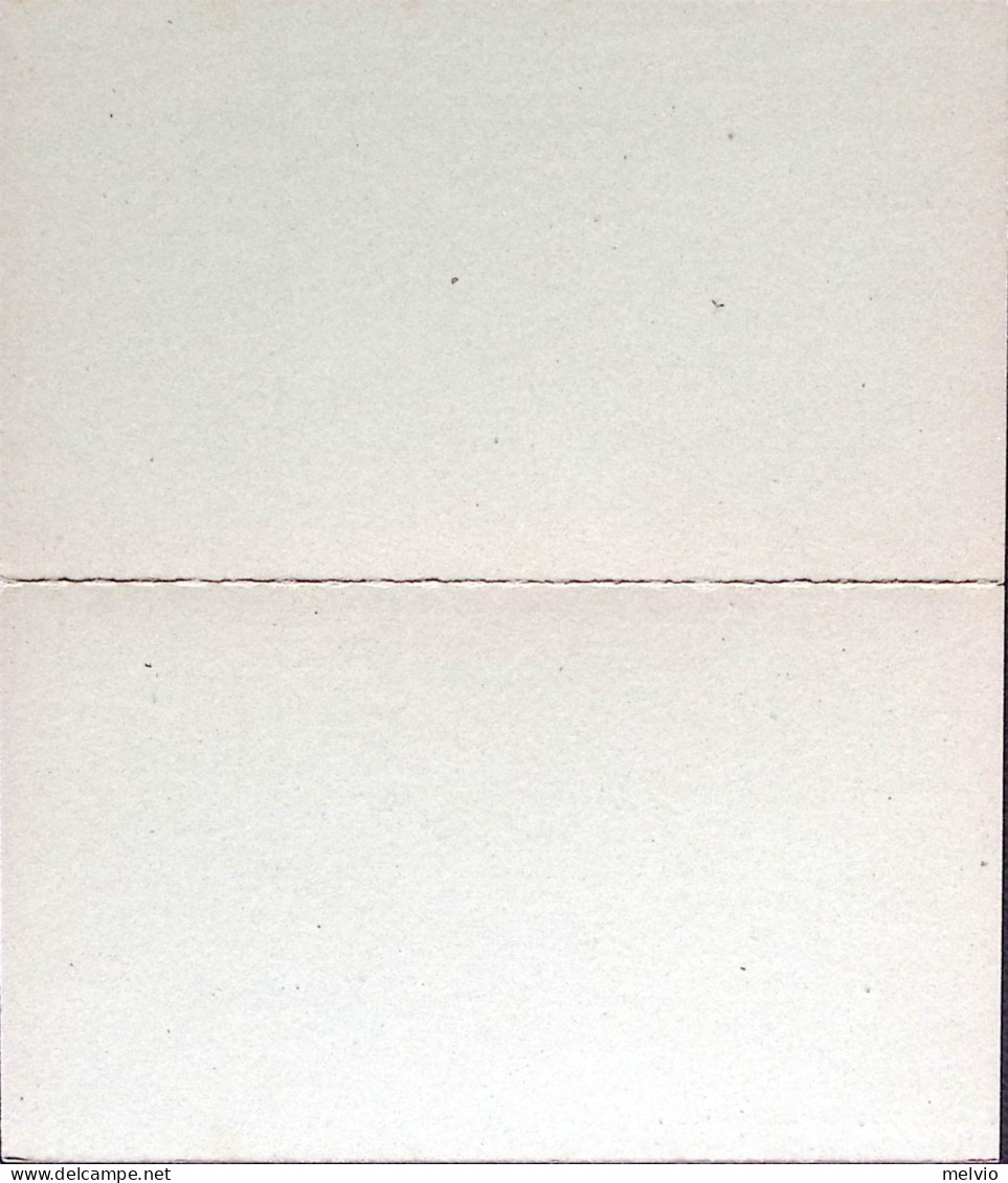 1882-Cartolina Postale PER ESTERO RP Umberto C.10+10 Senza Millesimi Nuova - Ganzsachen