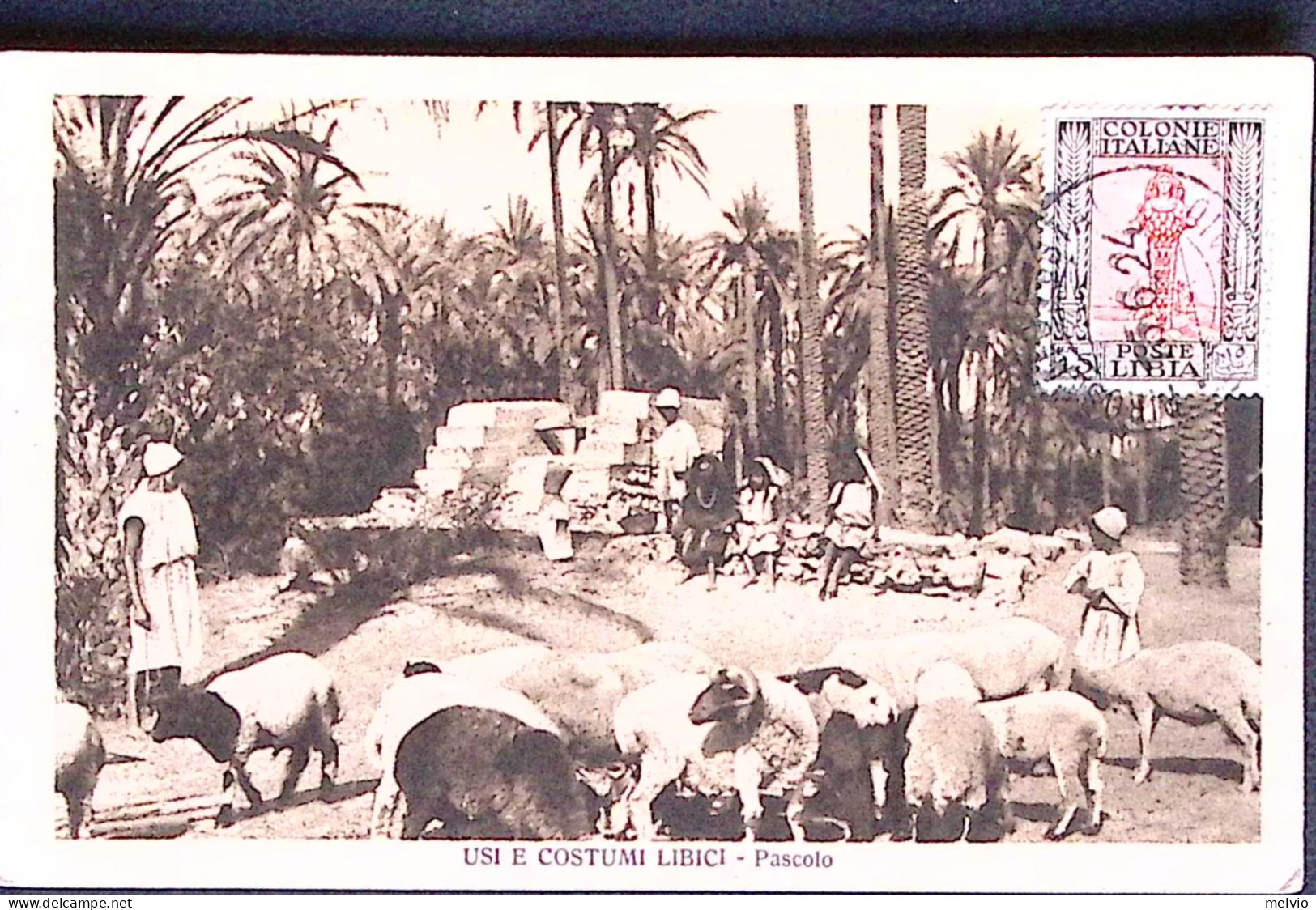 1924-USI E COSTUMI LIBICI-Pascolo Viaggiata Affrancata Lato Veduta Tripoli (13.6 - Libyen