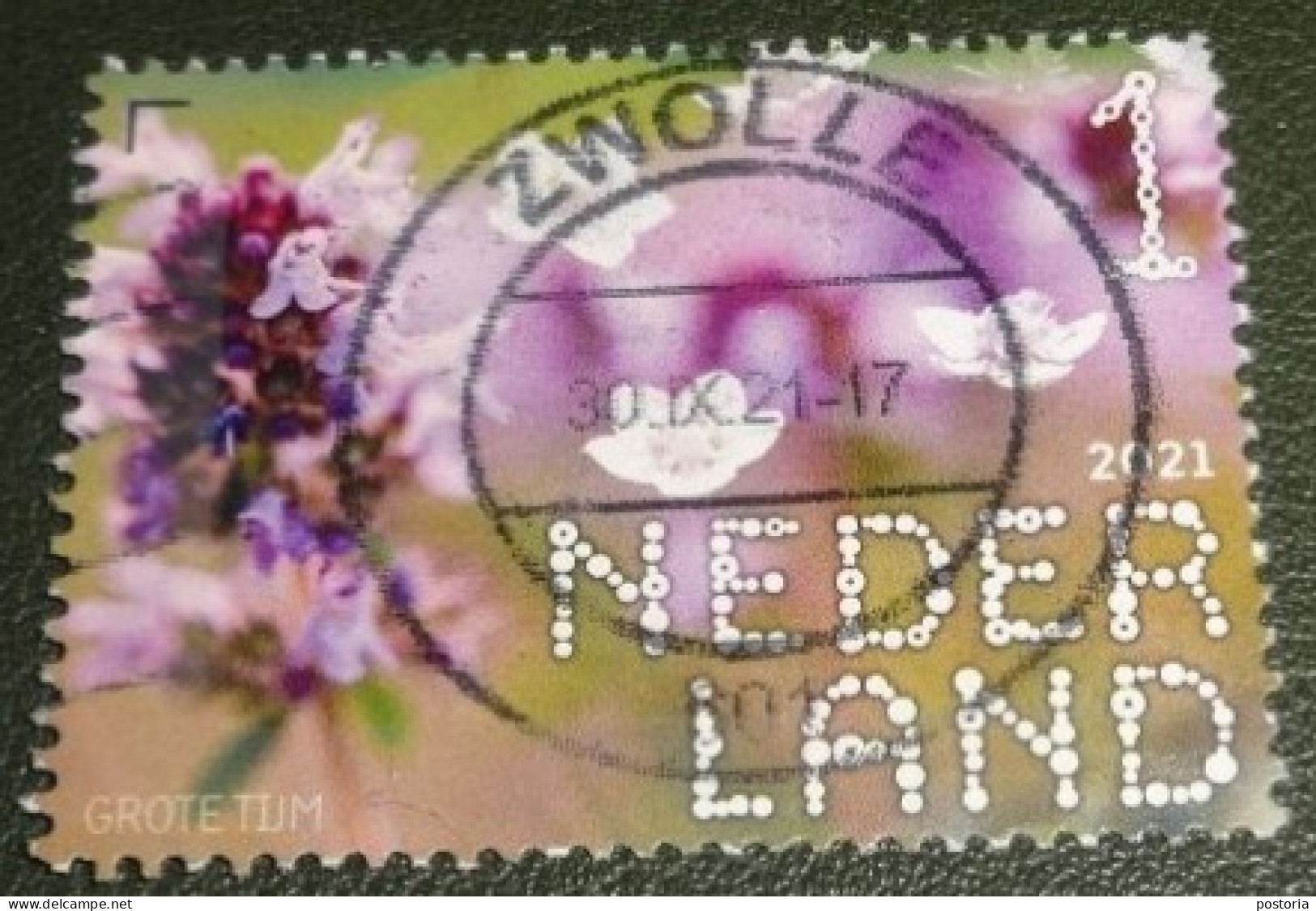 Nederland - NVPH - Xxxx - 2021 - Gebruikt - Beleef De Natuur - Grote Tijm - Used Stamps