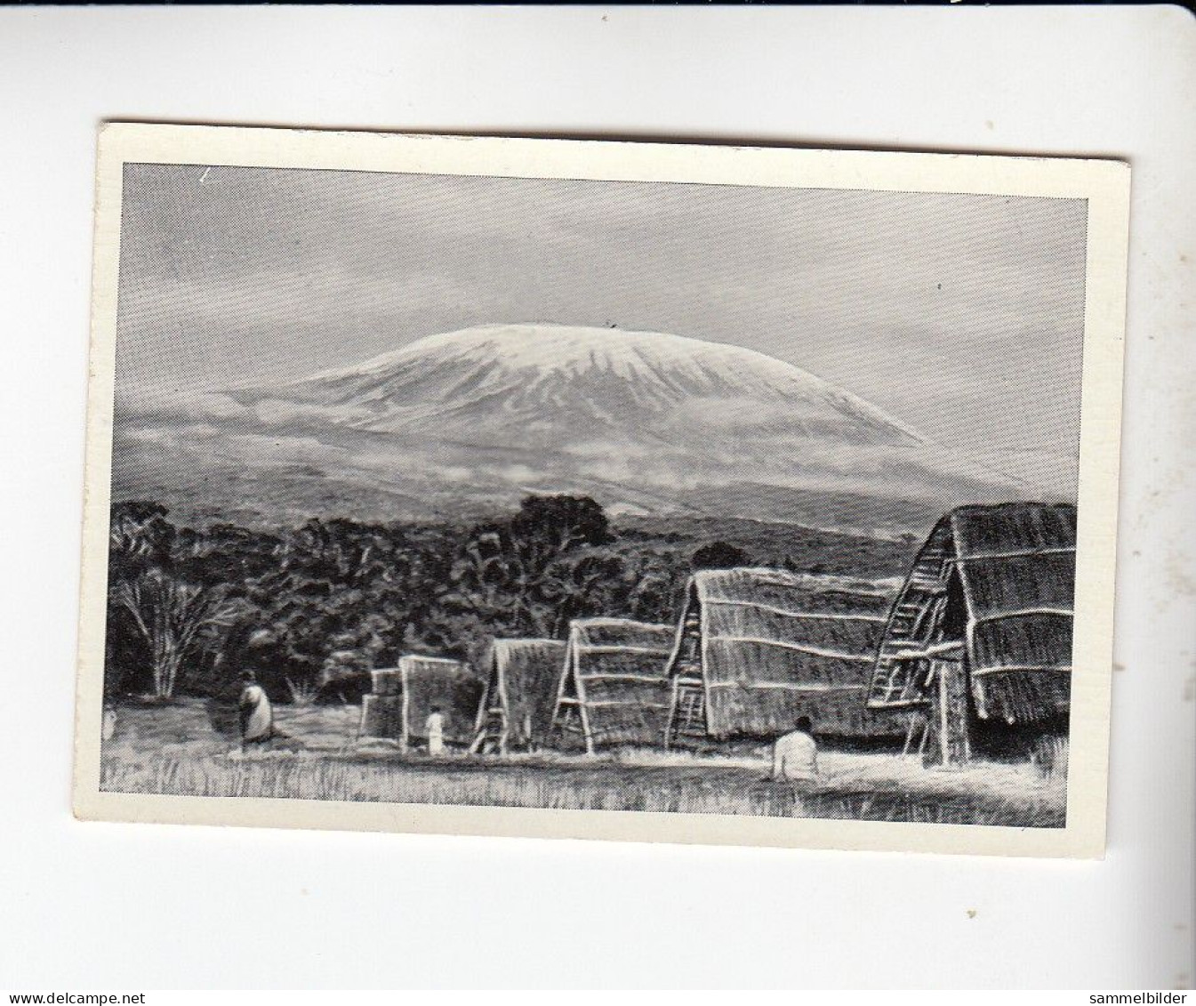 Mit Trumpf Durch Alle Welt Berühmte Berge Kilimandscharo    A Serie 17 #5 Von 1933 - Otras Marcas