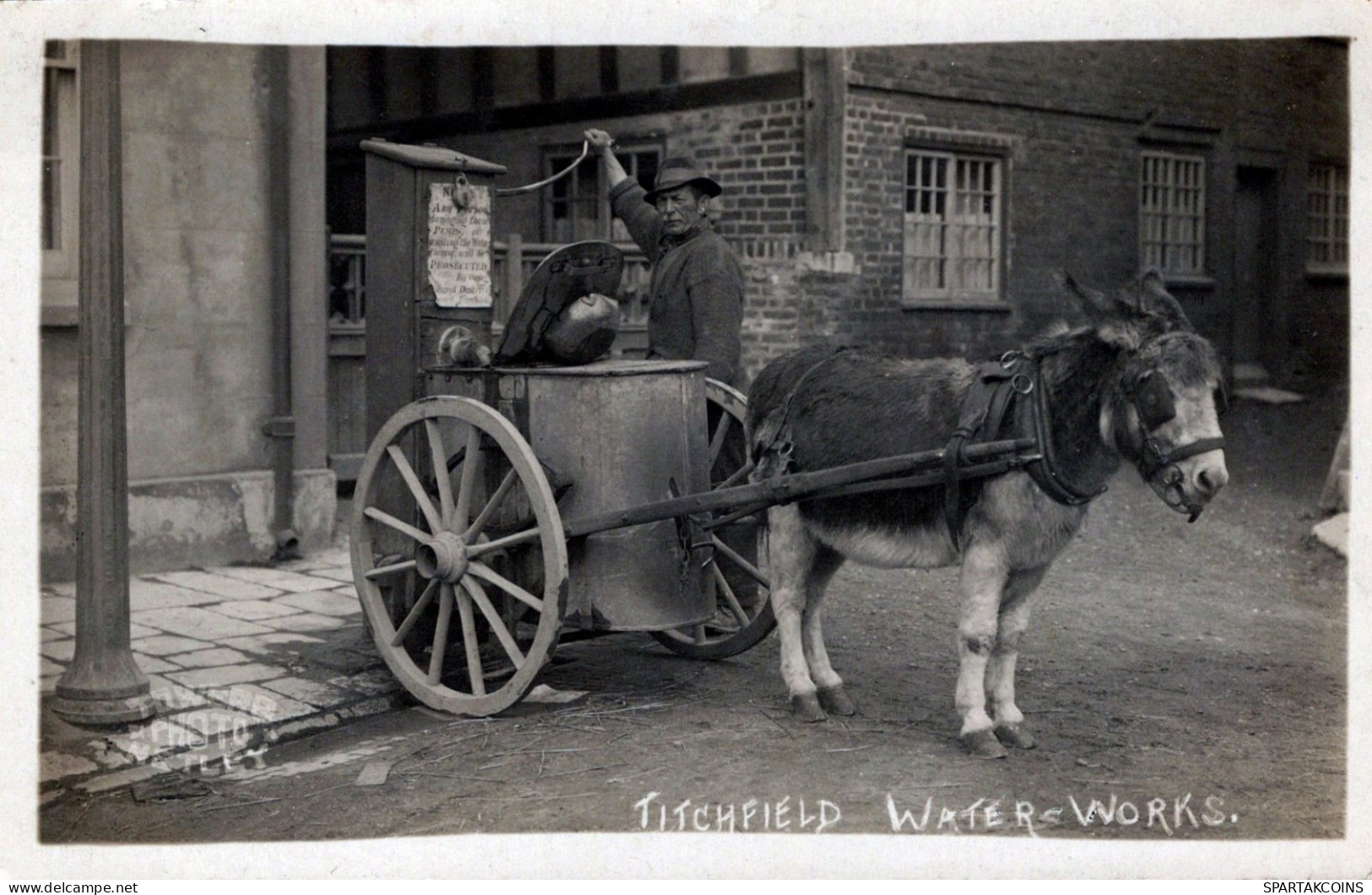 DONKEY Animals Vintage Antique Old CPA Postcard #PAA184.GB - Esel