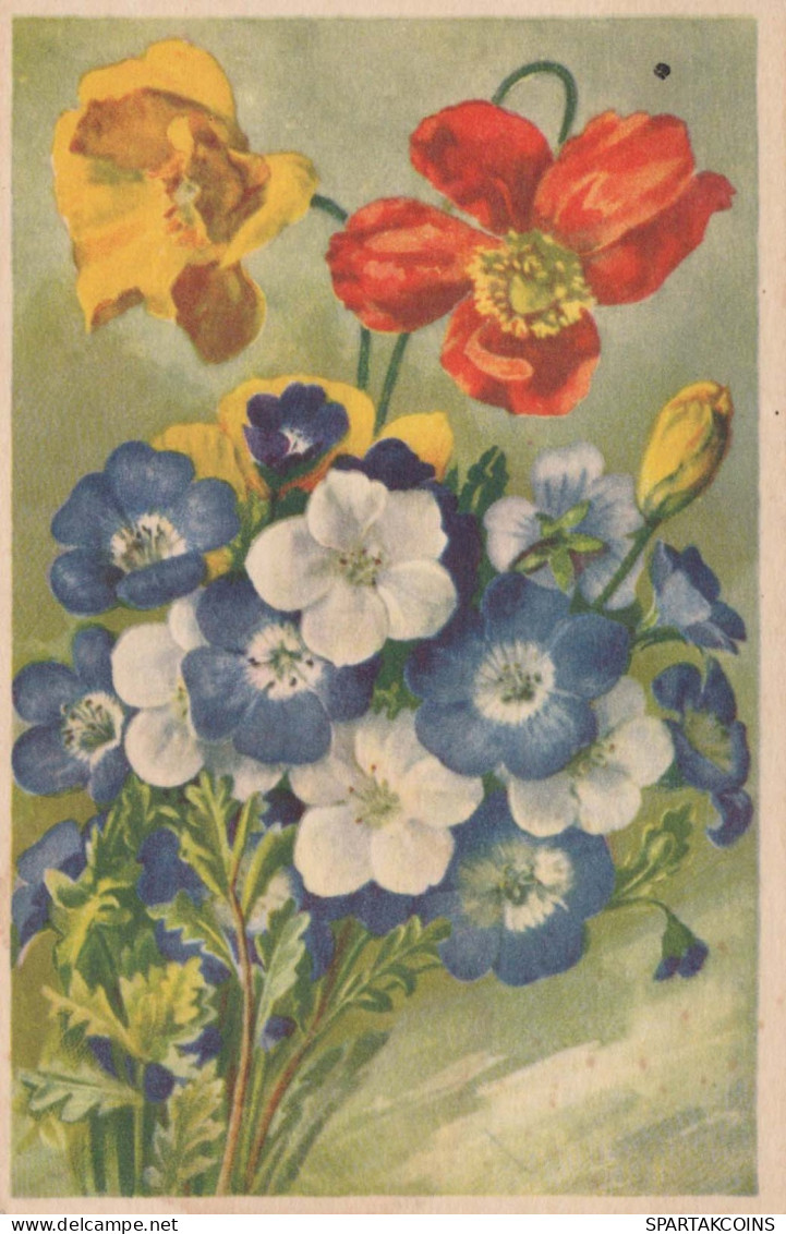 FLOWERS Vintage Postcard CPA #PKE695.GB - Flowers