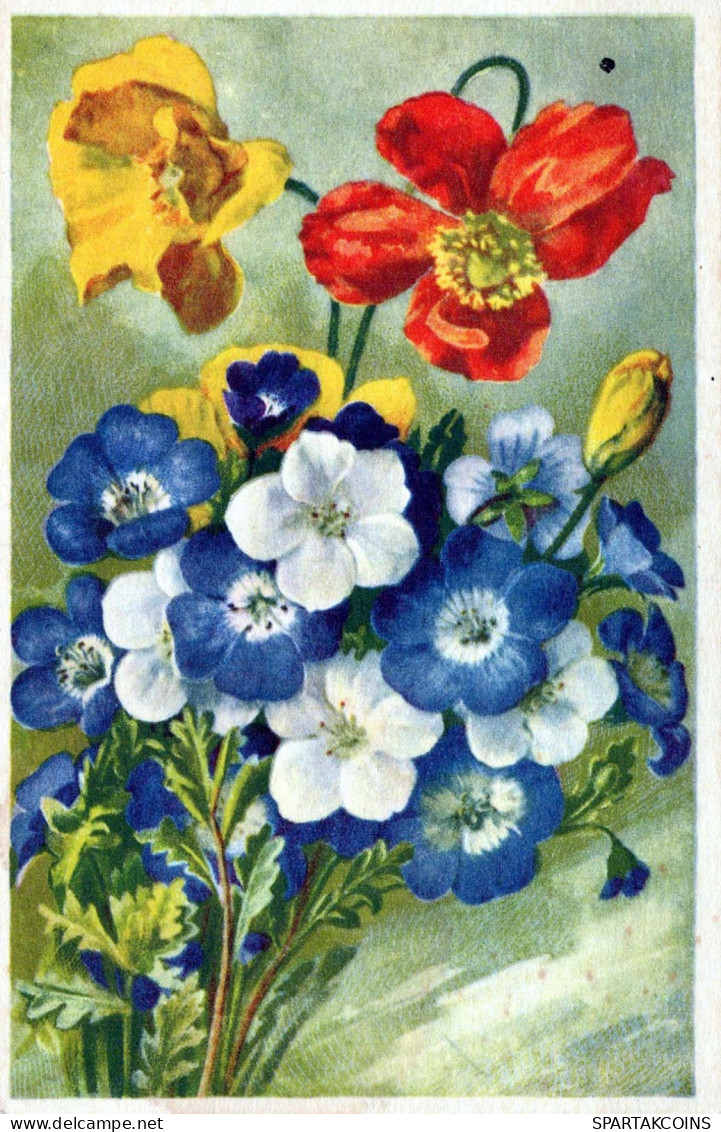 FLOWERS Vintage Postcard CPA #PKE695.GB - Flowers